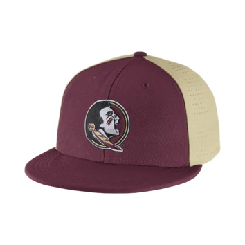 Florida State Seminoles NCAA Nike College Players True Swoosh Flex Hat