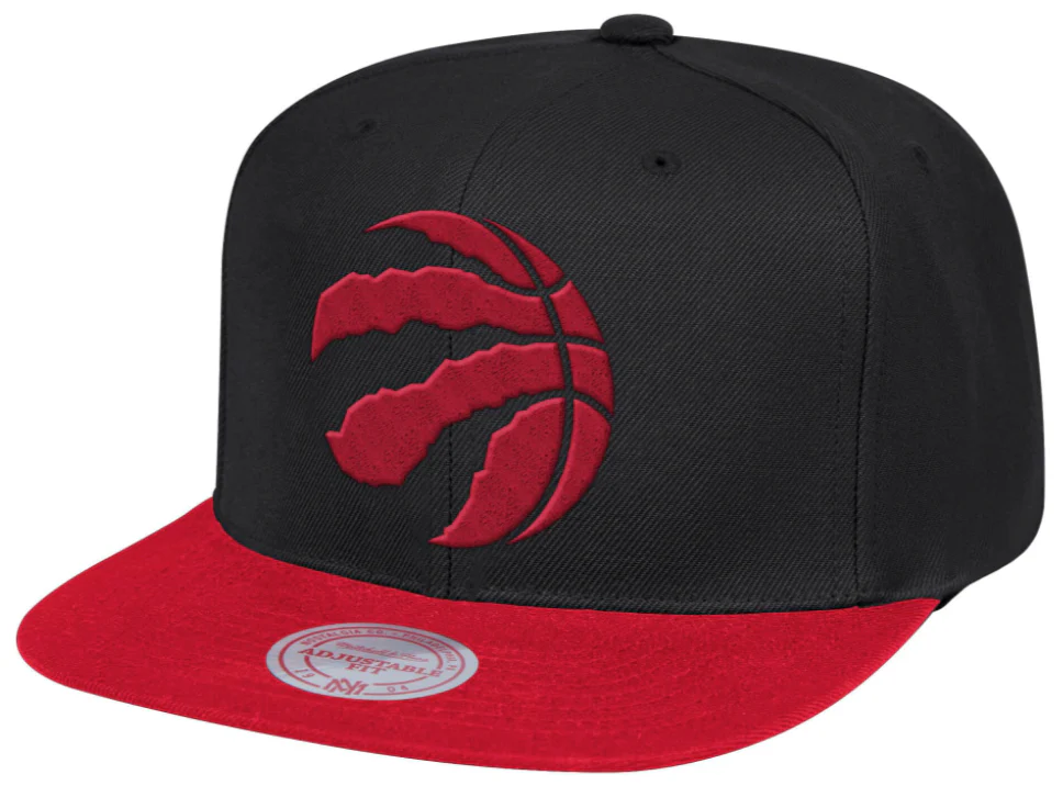 Men's Toronto Raptors 2-Tone 2.0 Snapback Hat By Mitchell & Ness