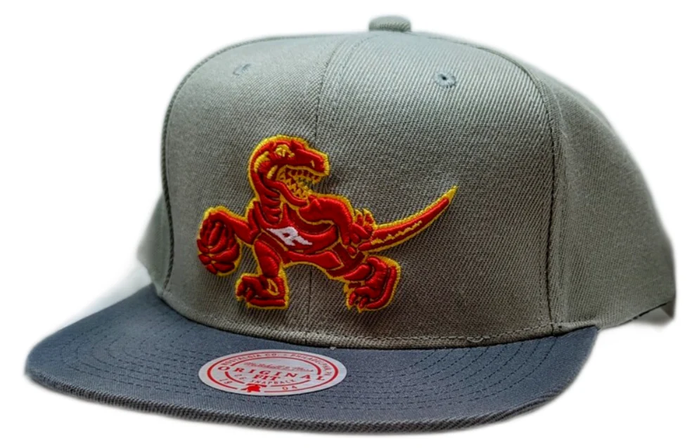 Men's Toronto Raptors NBA Cool Grey 3 HWC 2 Tone Mitchell & Ness Snapback Hat