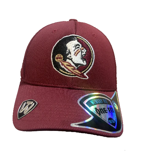 Florida State Seminoles NCAA Top of the World 