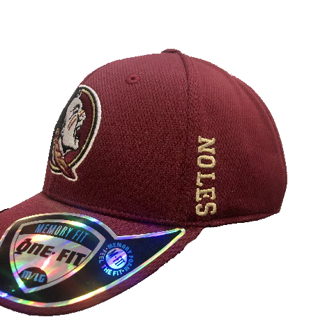 Florida State Seminoles NCAA Top of the World 