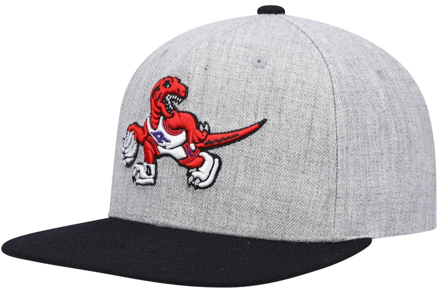 Men's Toronto Raptors Mitchell & Ness Gray/Purple Heathered Underpop Snapback Hat