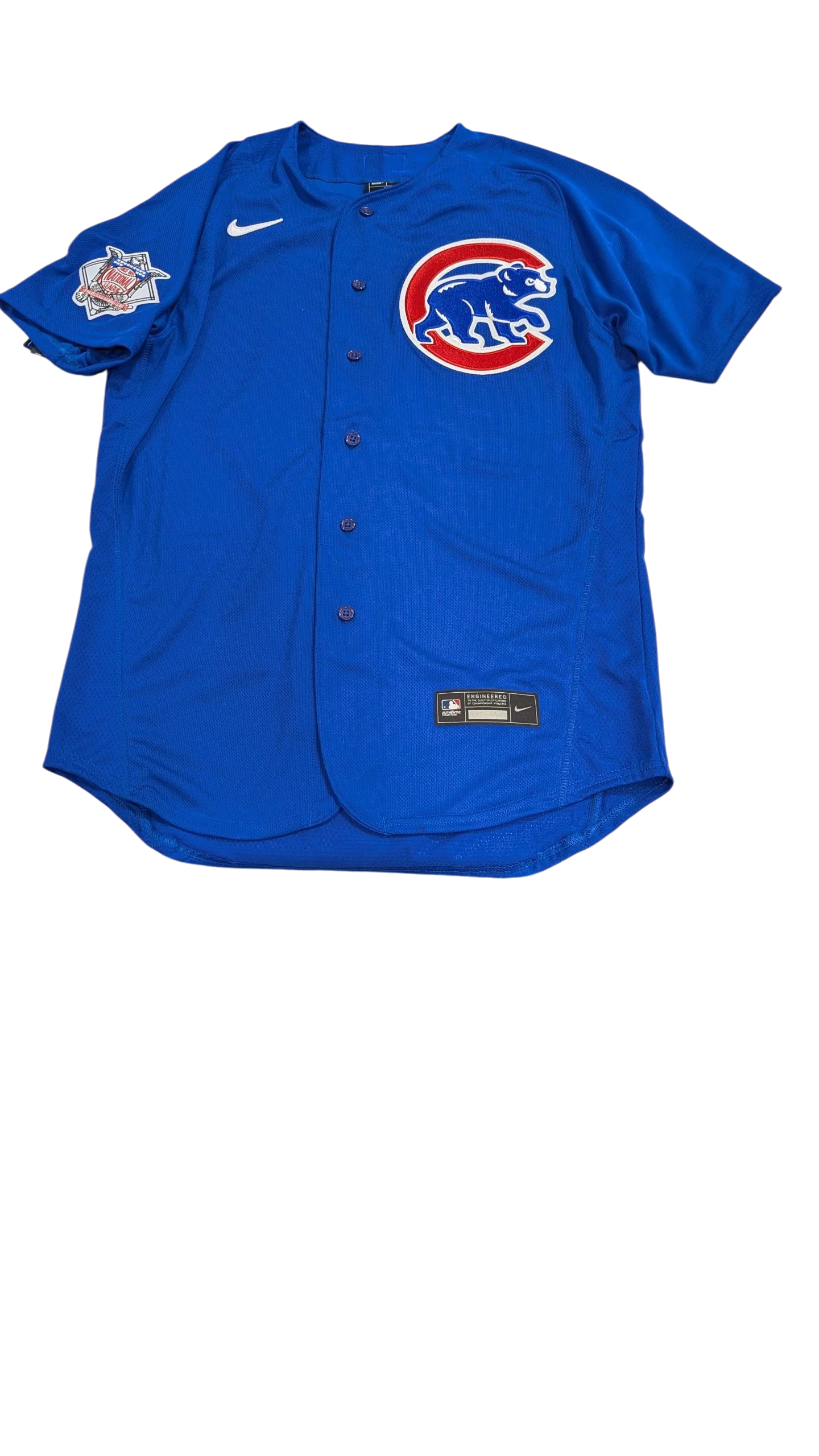 Men's Chicago Cubs Anthony Rizzo Nike Royal Blue Alternate Authentic Player Jersey