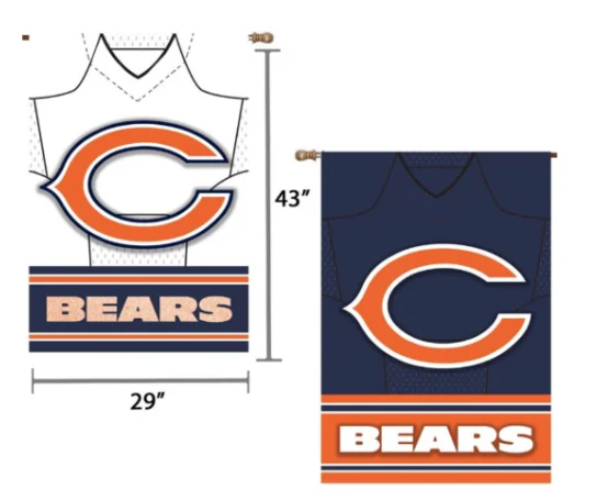 Chicago Bears 29