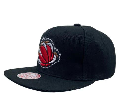 Men's Vancouver Grizzlies Mitchell & Ness Black Alternate Core Basic Adjustable Snapback Hat