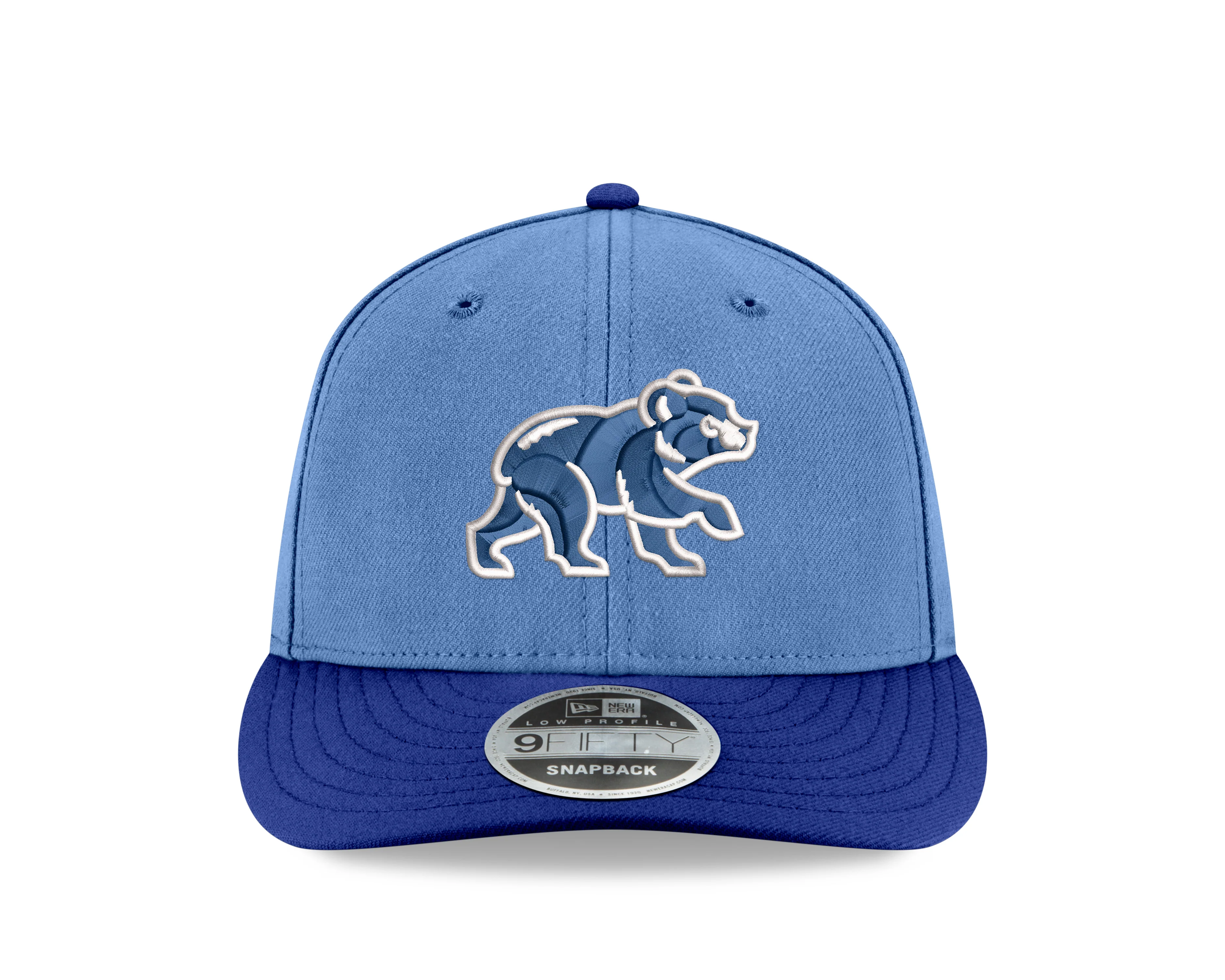 Chicago Cubs New Era Sky Blue/Royal Spring Training Bear Low Profile 9FIFTY Snapback Adjustable Hat