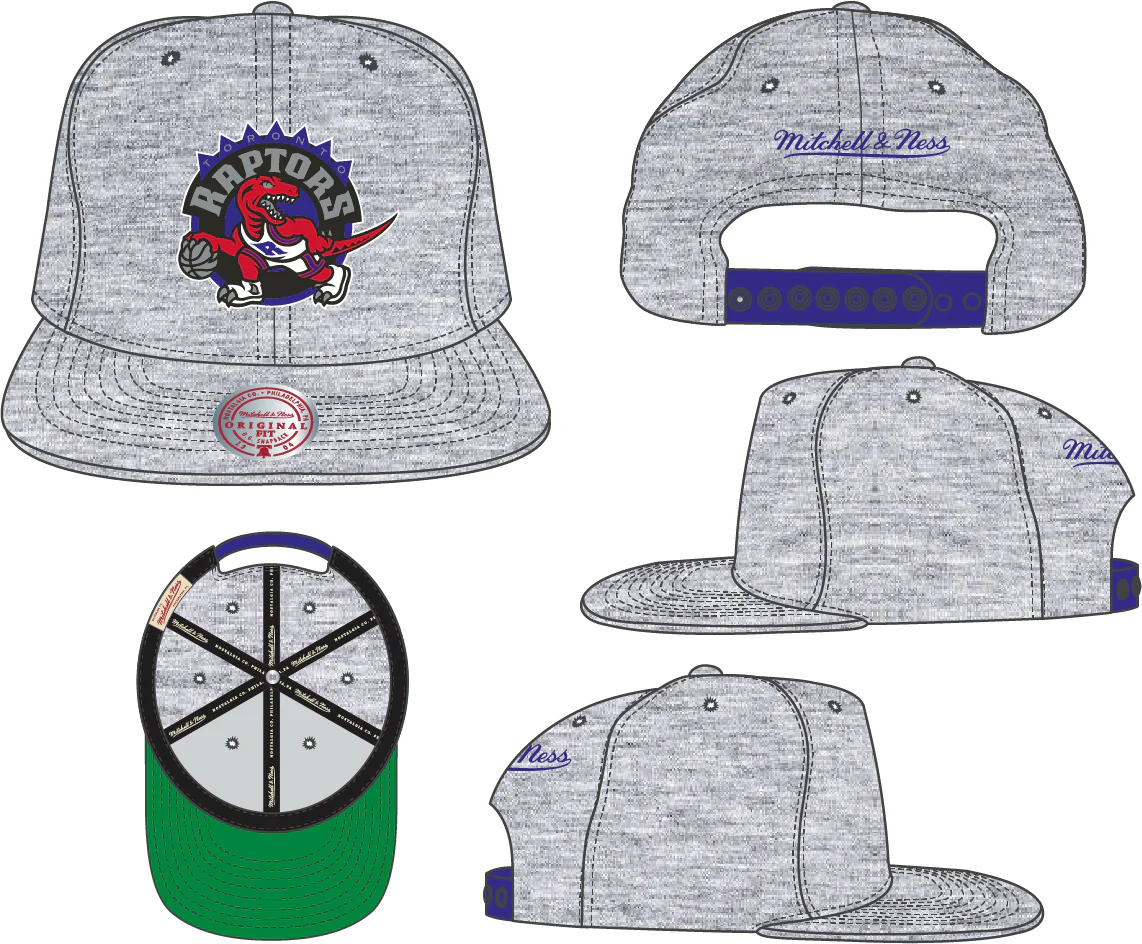 Toronto Raptors HWC Gray Heather 2.0 Mitchell & Ness Snapback Hat