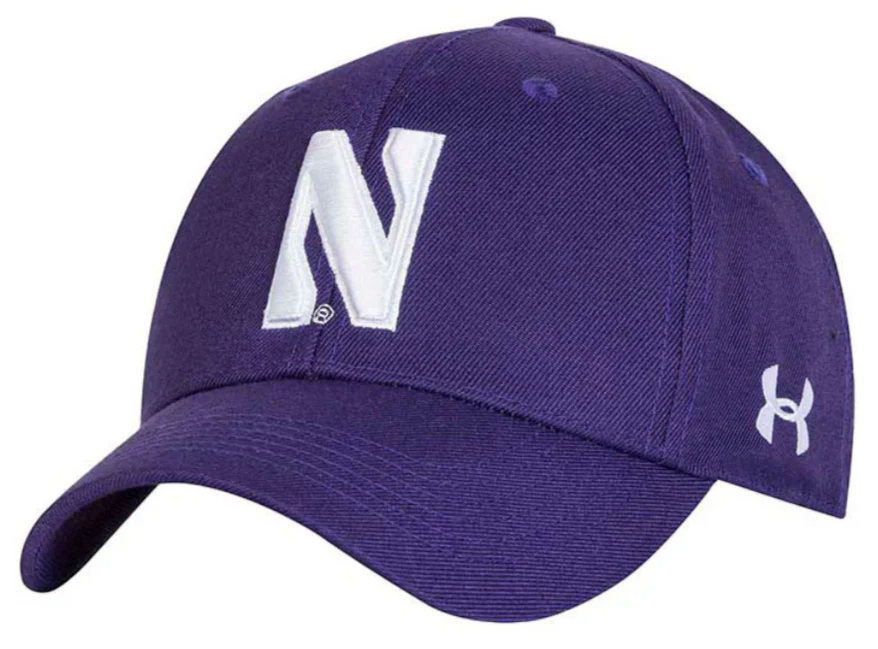 Men's Under Armour Purple Northwestern Wildcats Classic Adjustable Hat