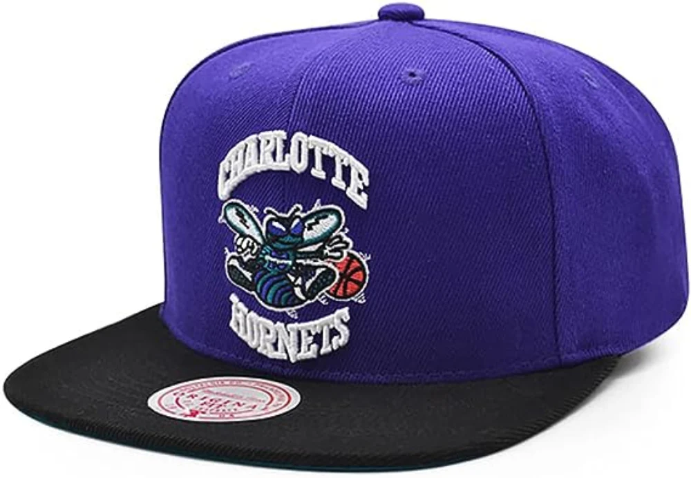 Men's Charlotte Hornets Mitchell & Ness NBA Core Basic HWC Purple/Black Snapback Hat
