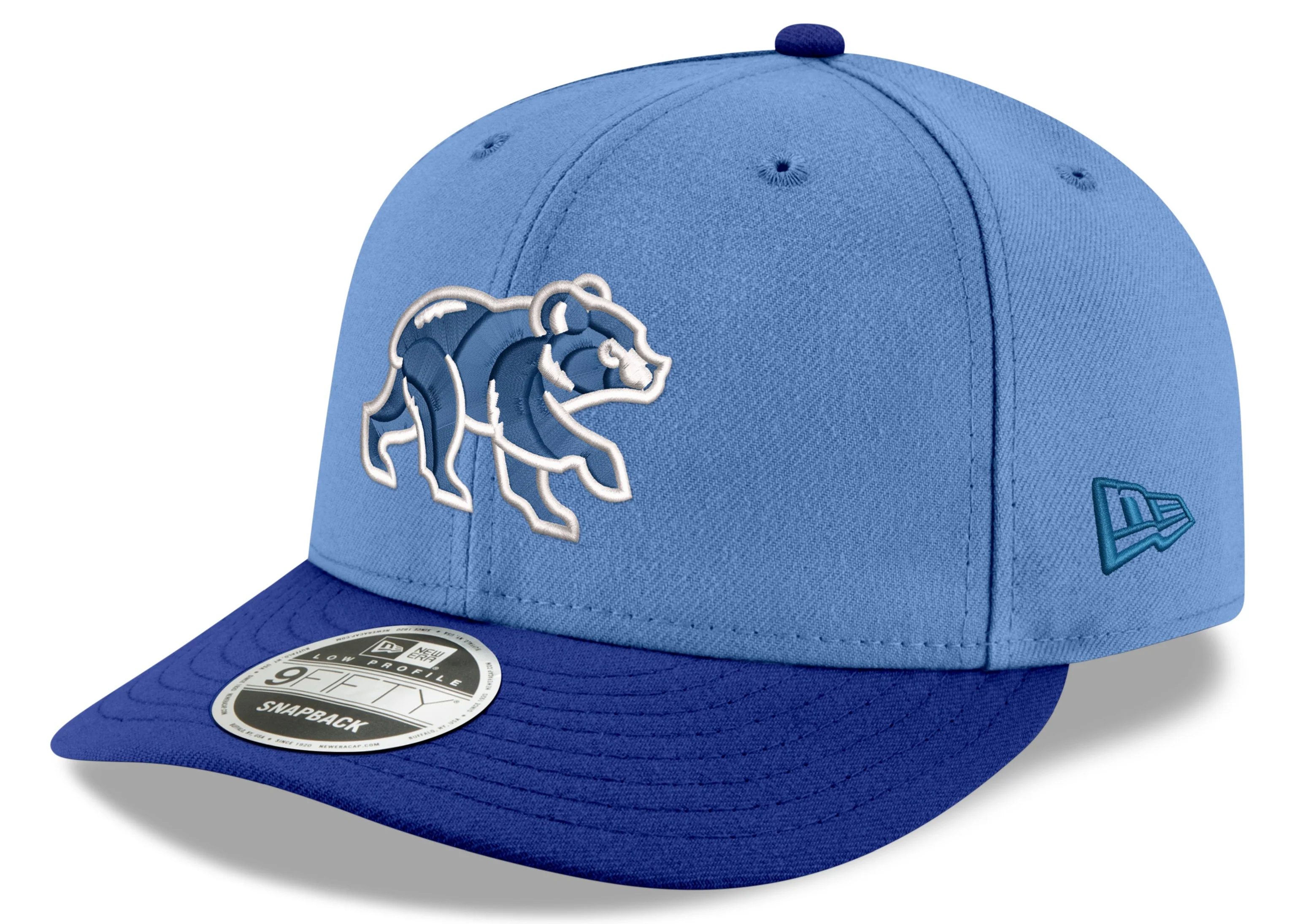 Chicago Cubs New Era Sky Blue/Royal Spring Training Bear Low Profile 9FIFTY Snapback Adjustable Hat