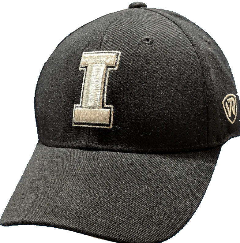 Mens NCAA Iowa Hawkeyes B.A.F. Black Memory Fit Hat