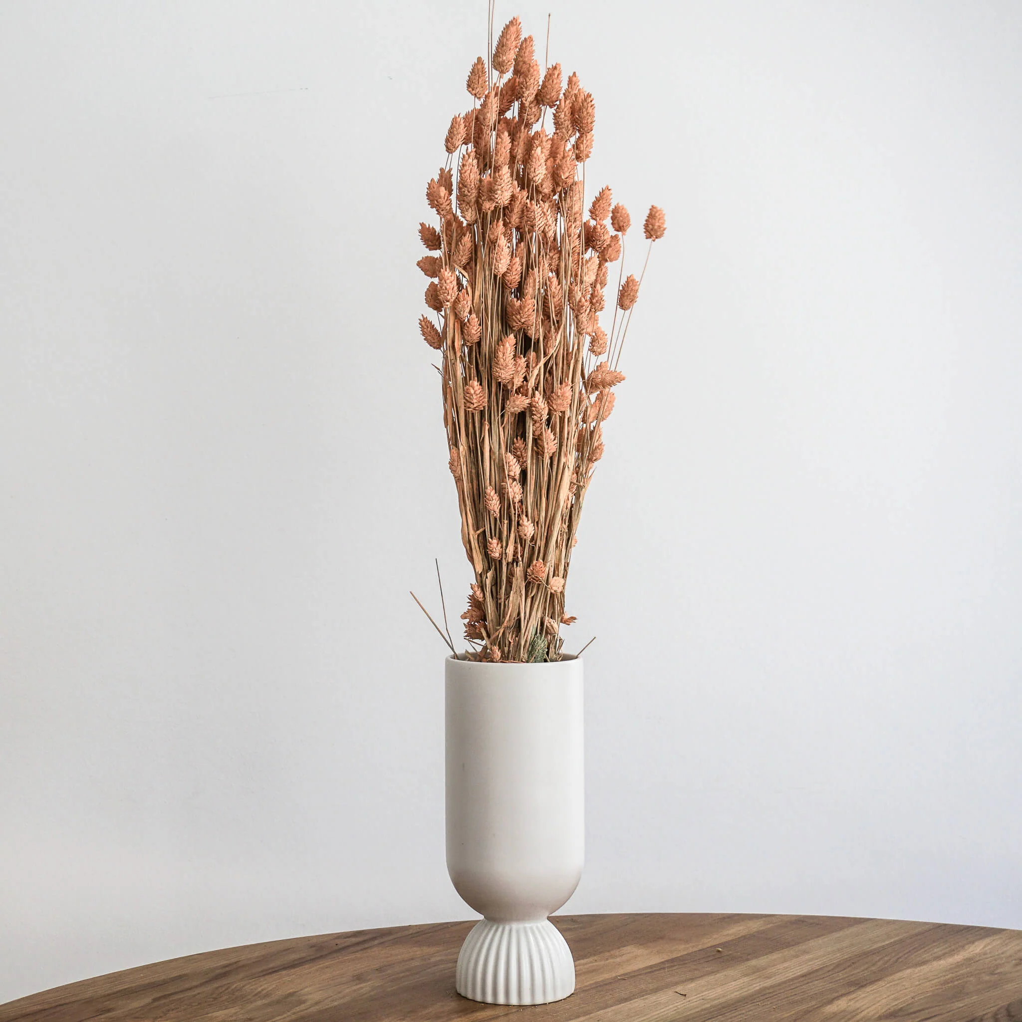 Phalaris I Kanariengras: Vielseitiger Allrounder für Deine Trockenblumen-Dekoration