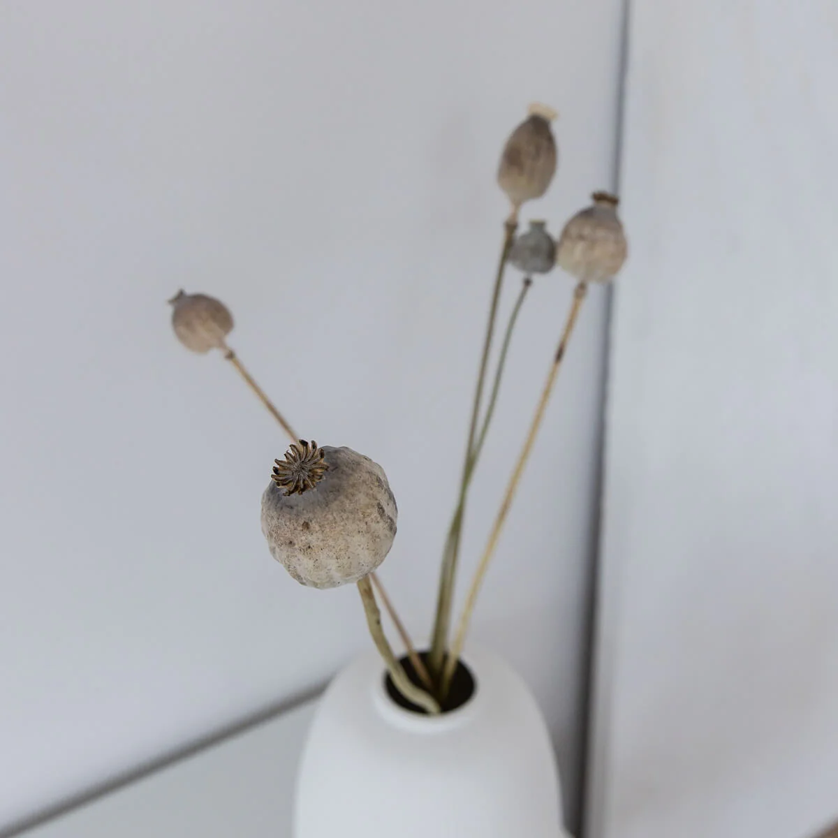 Vase Aby - die perfekte Vase für deinen Strauß