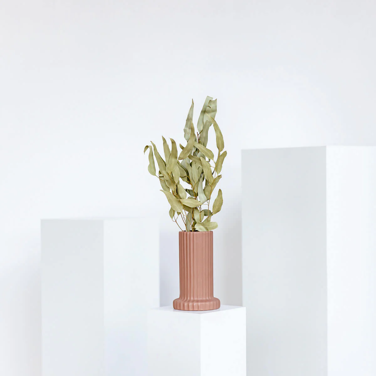 Vielseitiger Klassiker: getrockneter Eukalyptus