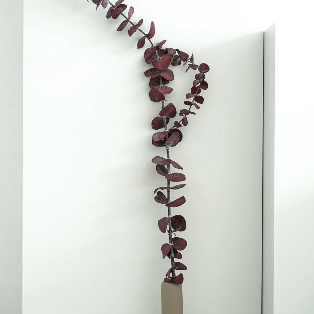 Eukalyptus Baby - der Feine