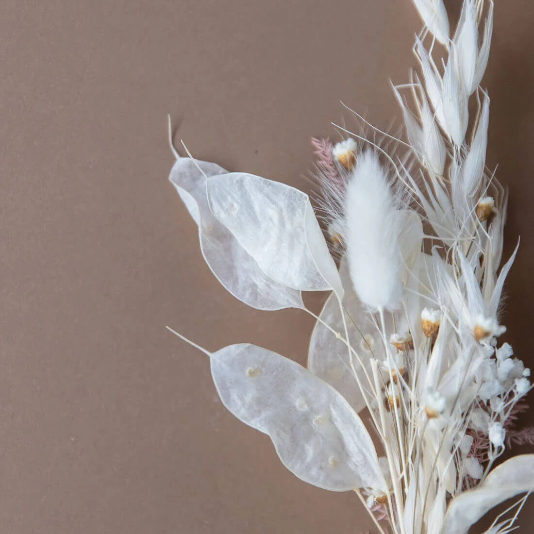 Anstecker Bräutigam I Trauzeuge I Trockenblumen weiß rosa