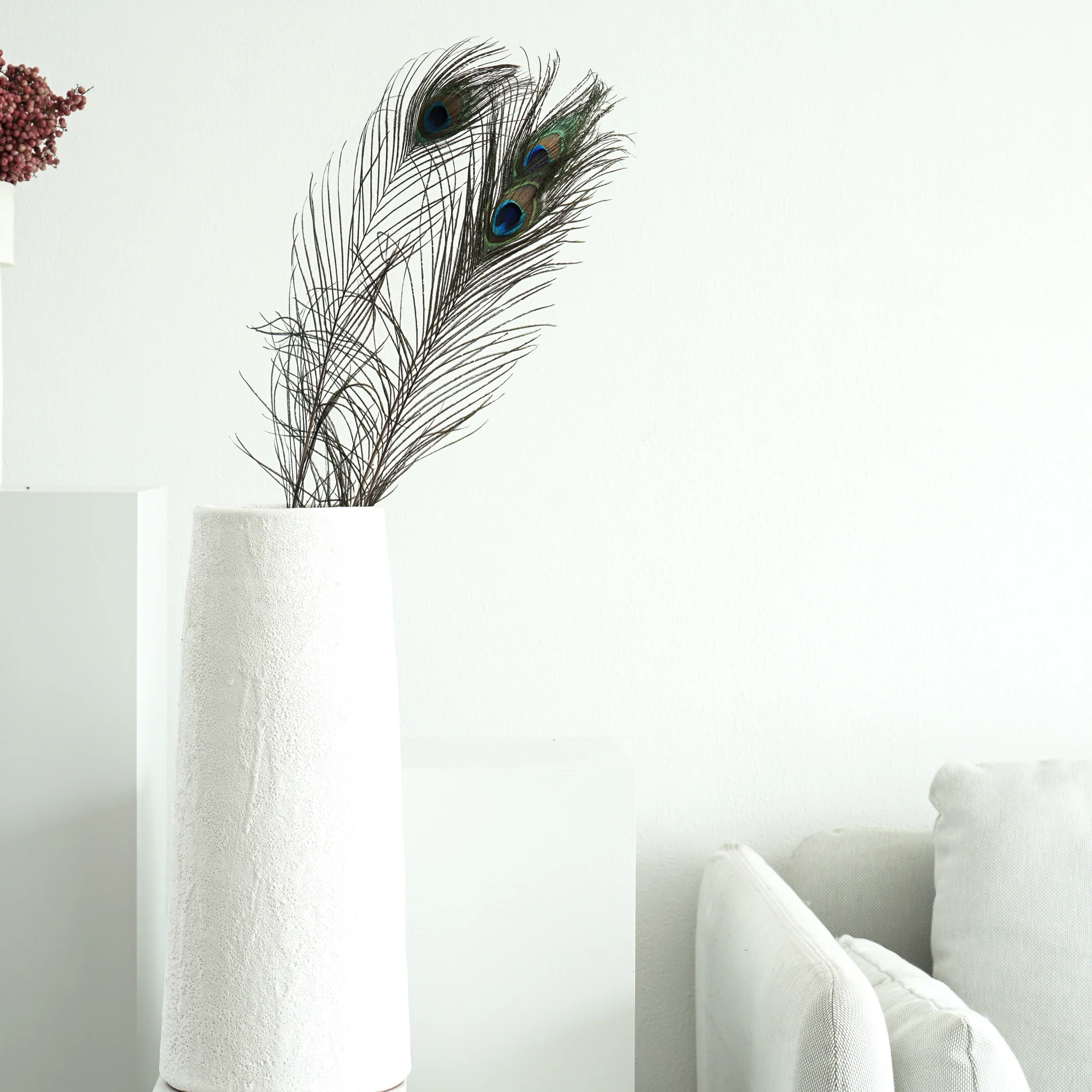 Pfauenfeder 3 Stiele