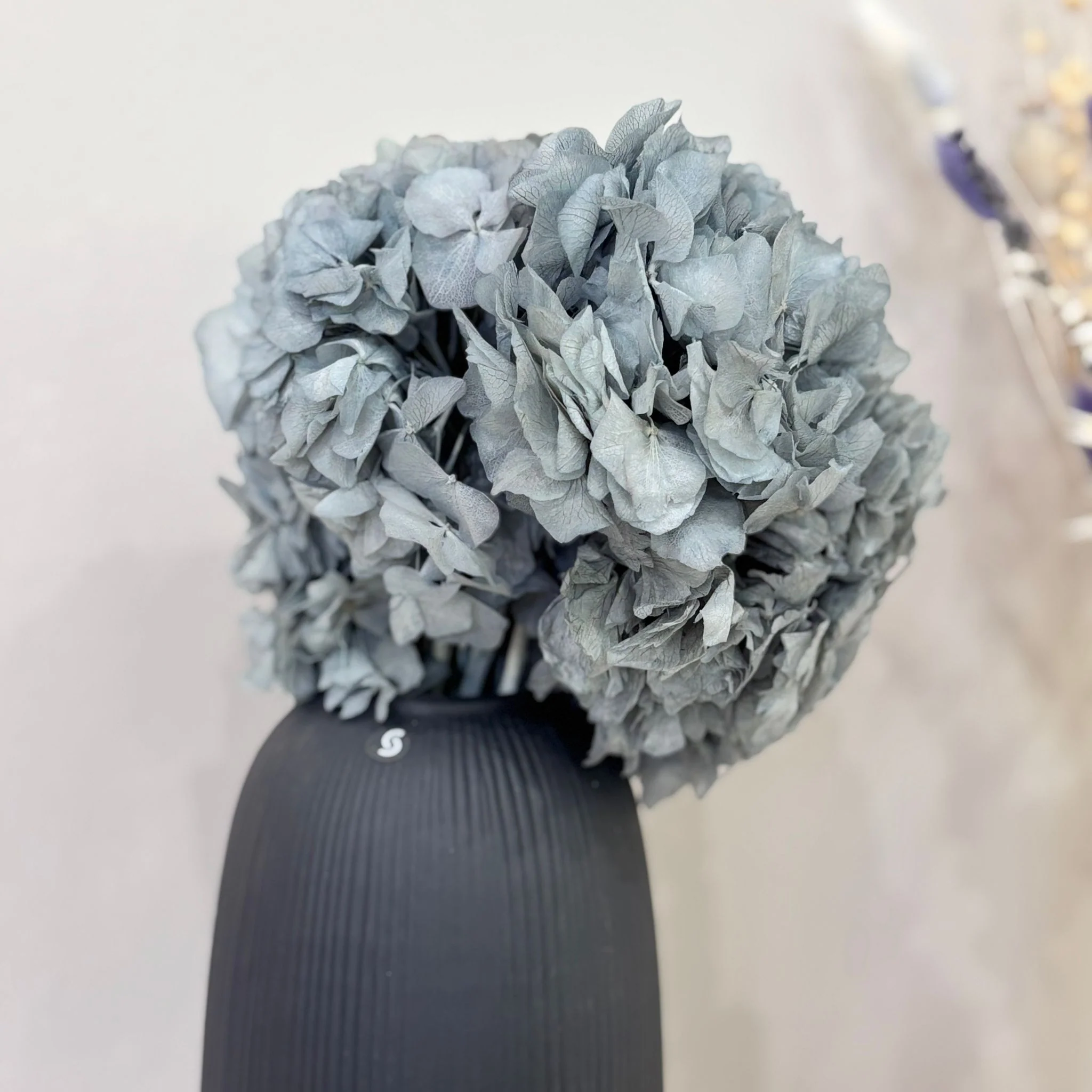 Hortensie: Zeitlose Schönheit, konservierte Hortensien als perfekte Dekoration