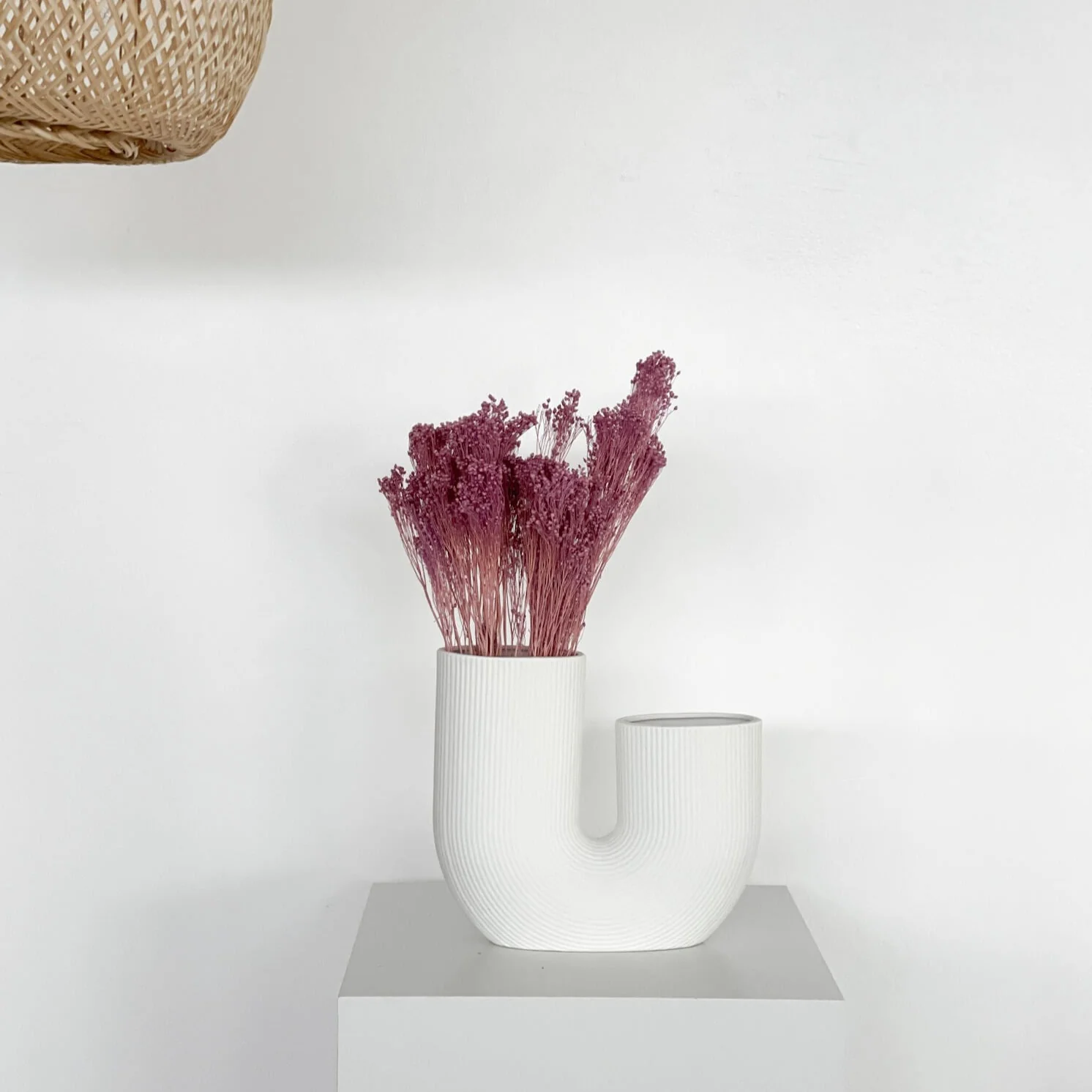 Broom Bloom - ein Bund