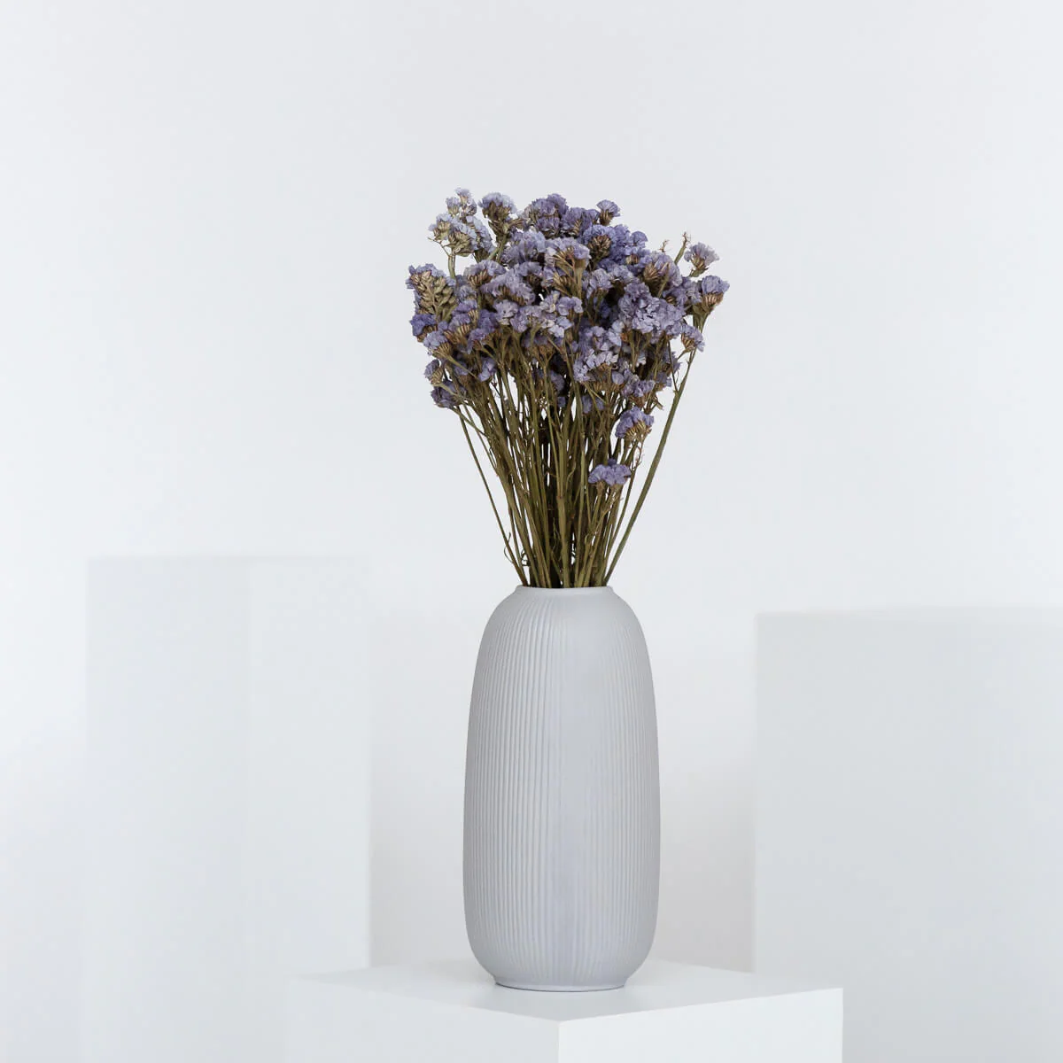 Strandflieder - Limonium Statice