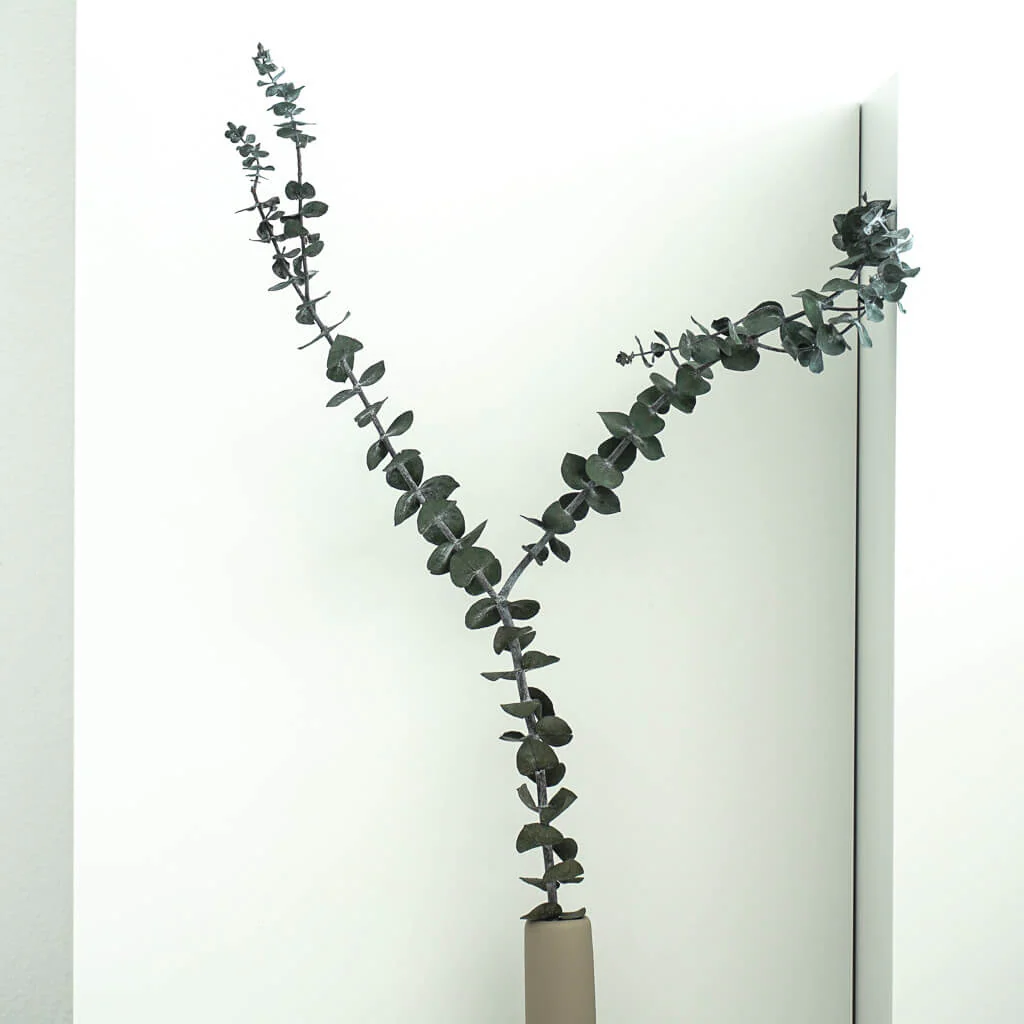 Eukalyptus Baby - der Feine