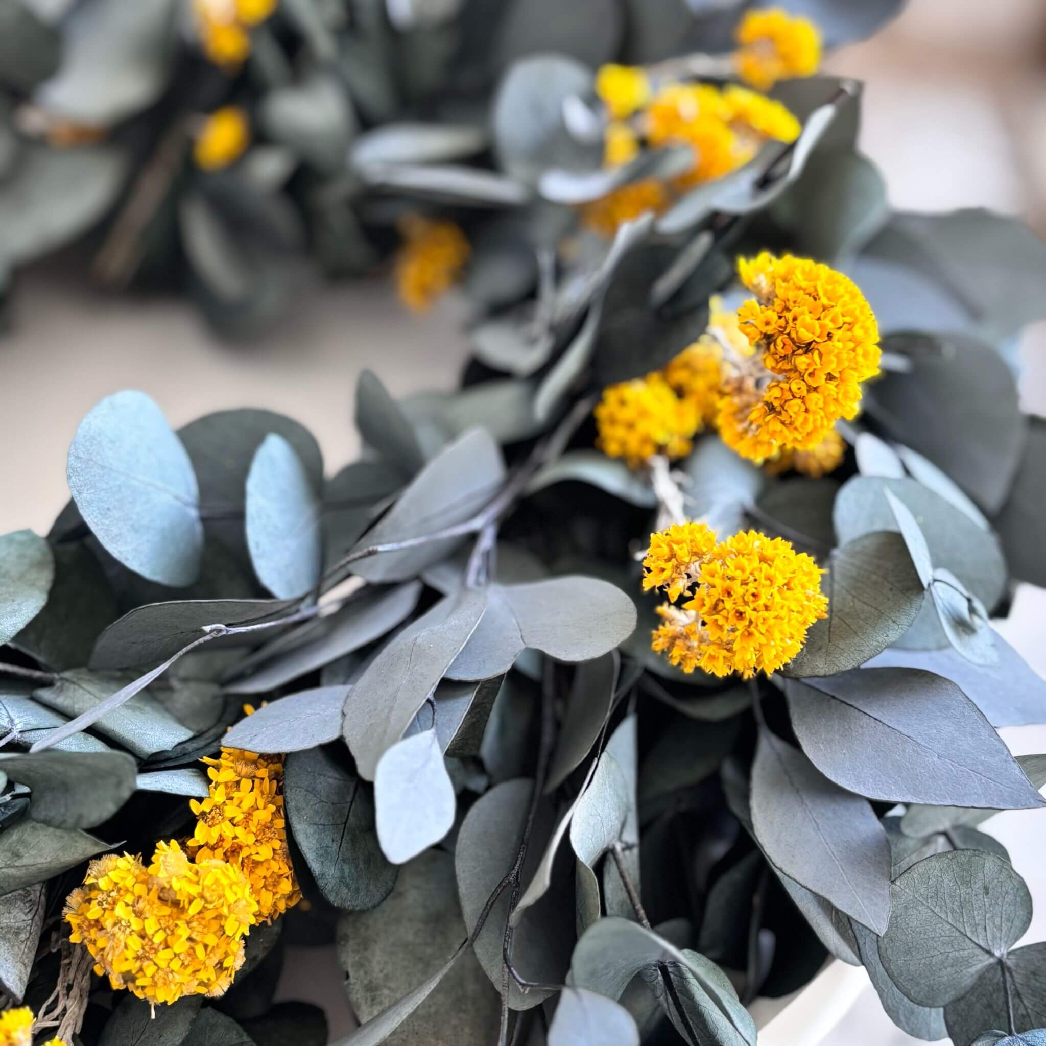XL Kranz Trockenblumen Eukalyptus glow