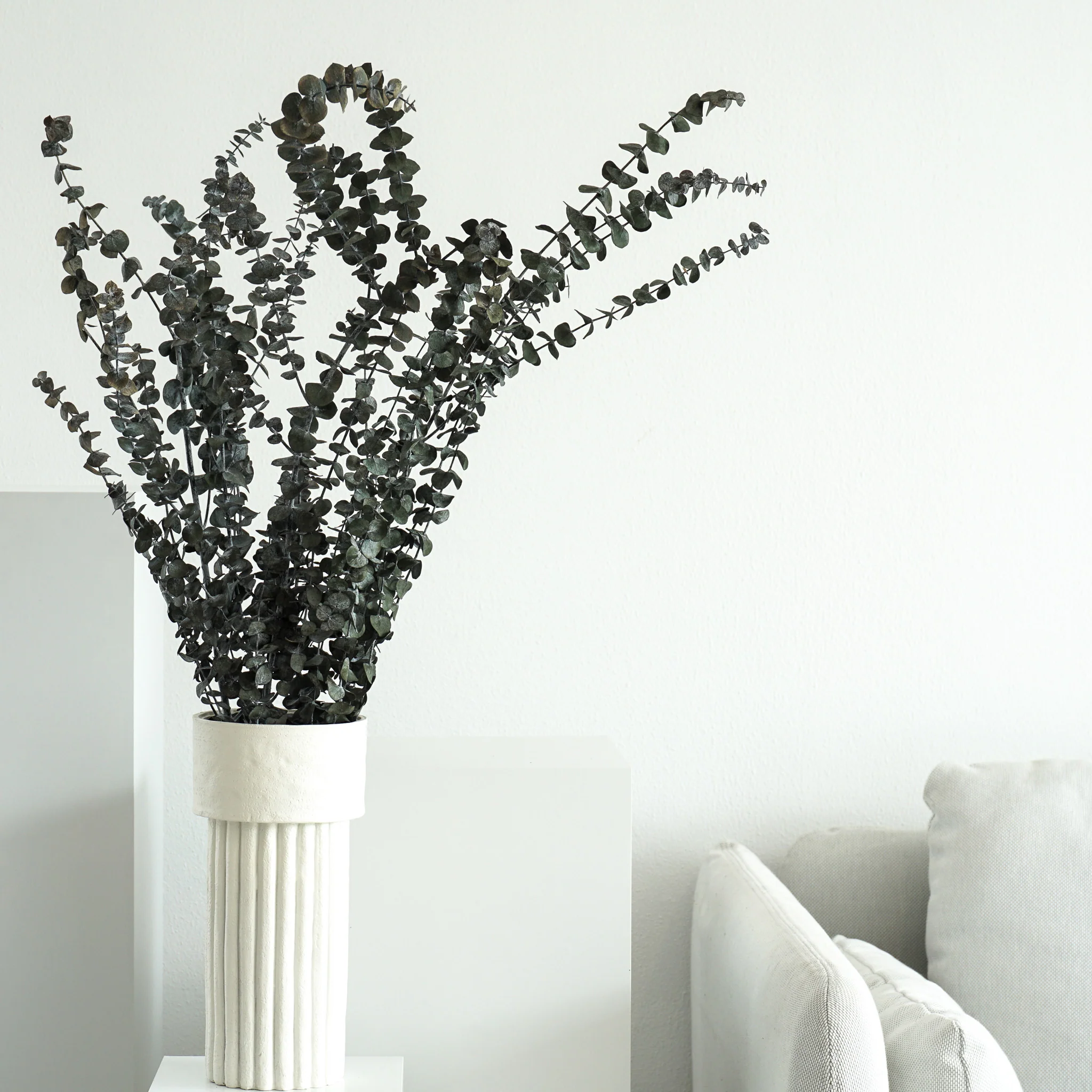 Eukalyptus Baby - der Feine