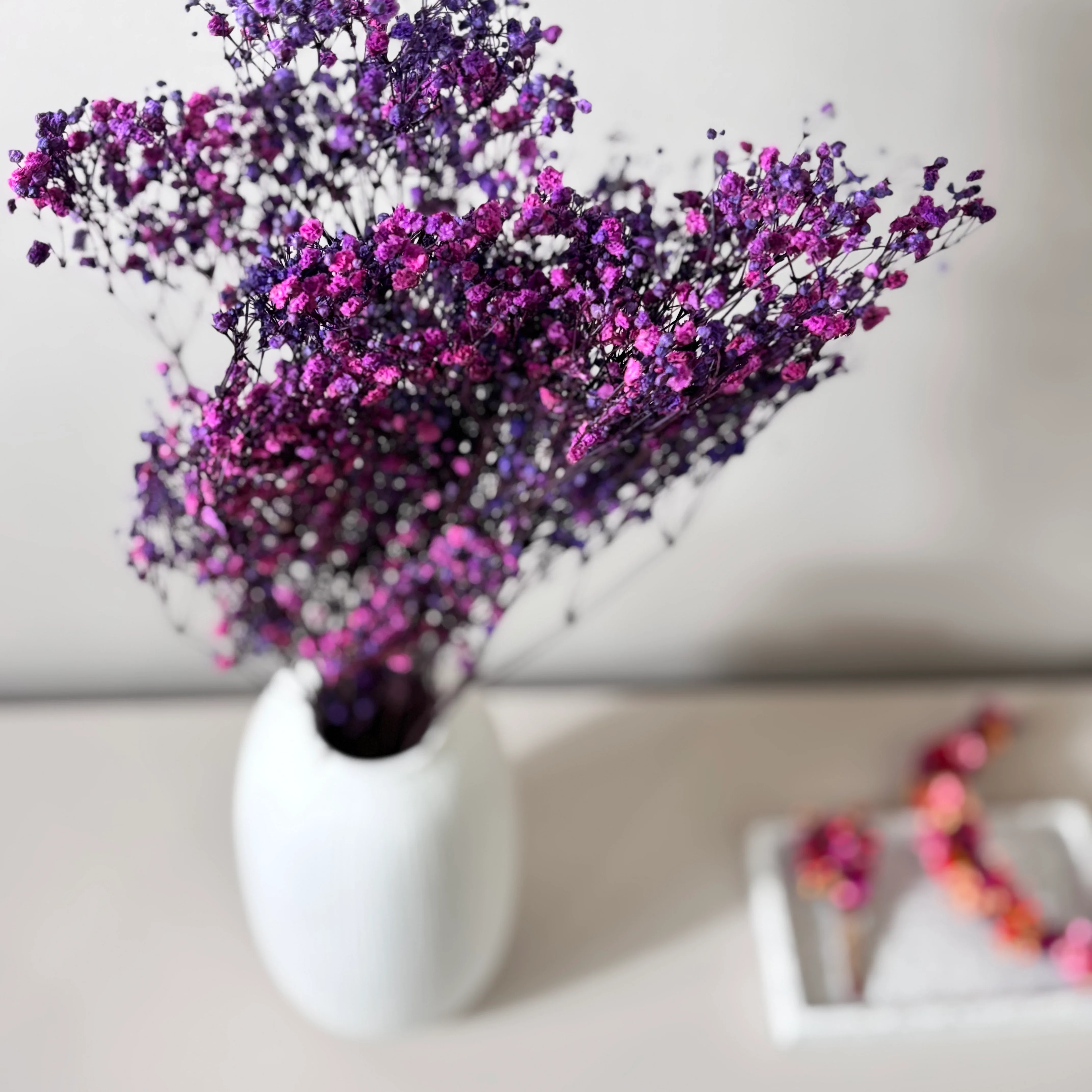 Gypsophilia | Schleierkraut: Ewige Schönheit für Deine Trockenblumensträuße und -kränze