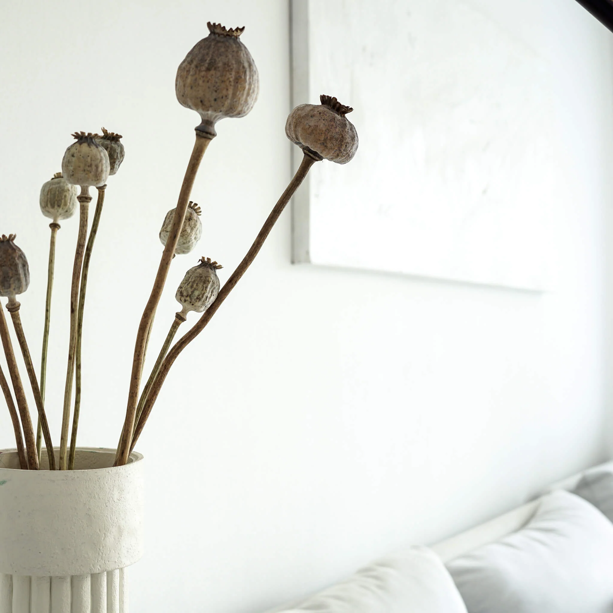 Mohnkapseln getrocknet: Lass deine Wohnung erblühen!