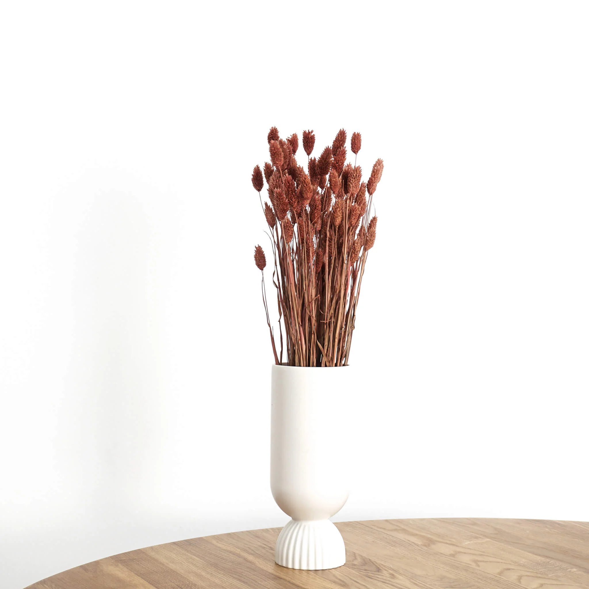 Phalaris I Kanariengras: Vielseitiger Allrounder für Deine Trockenblumen-Dekoration