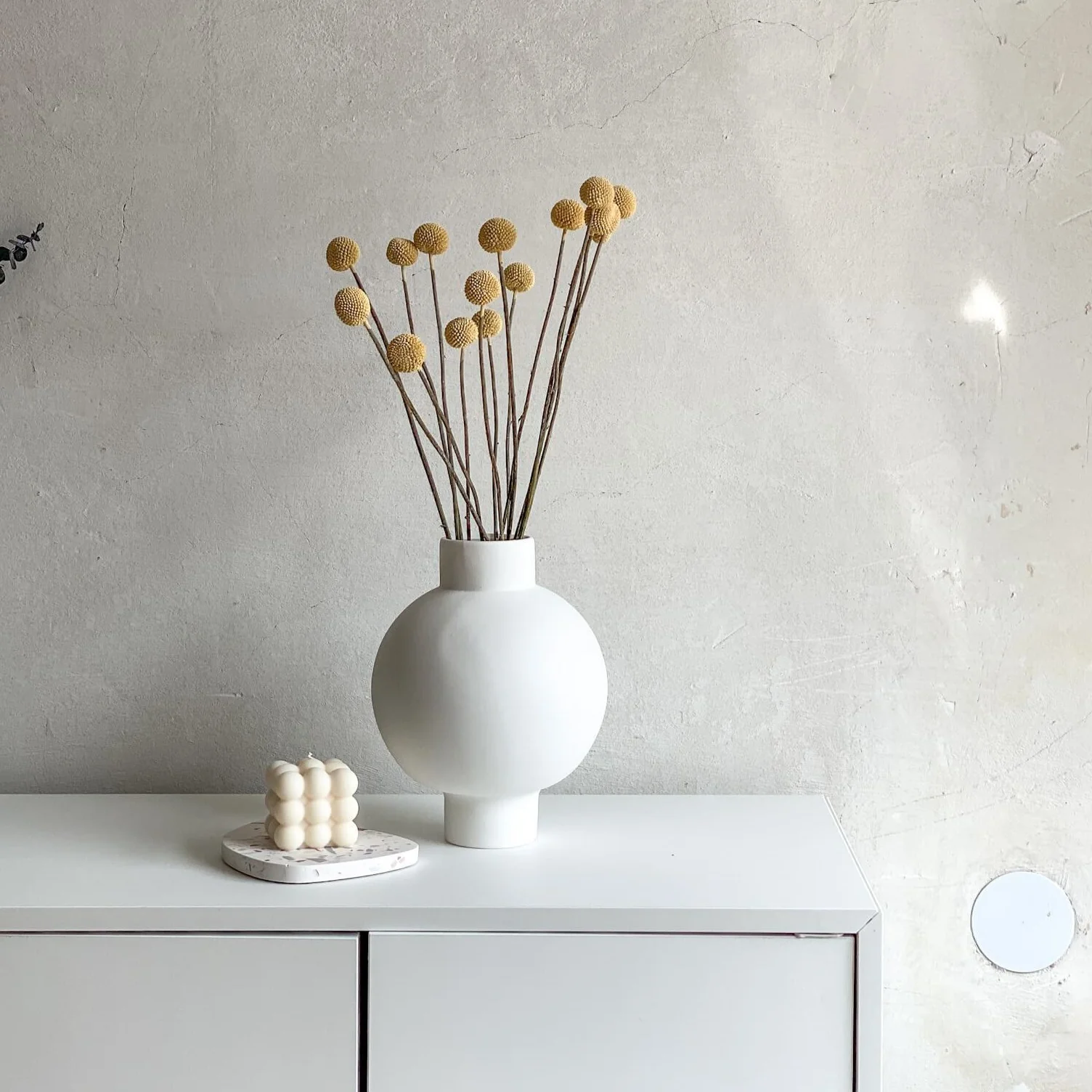 Craspedia I Trommelstöckchen