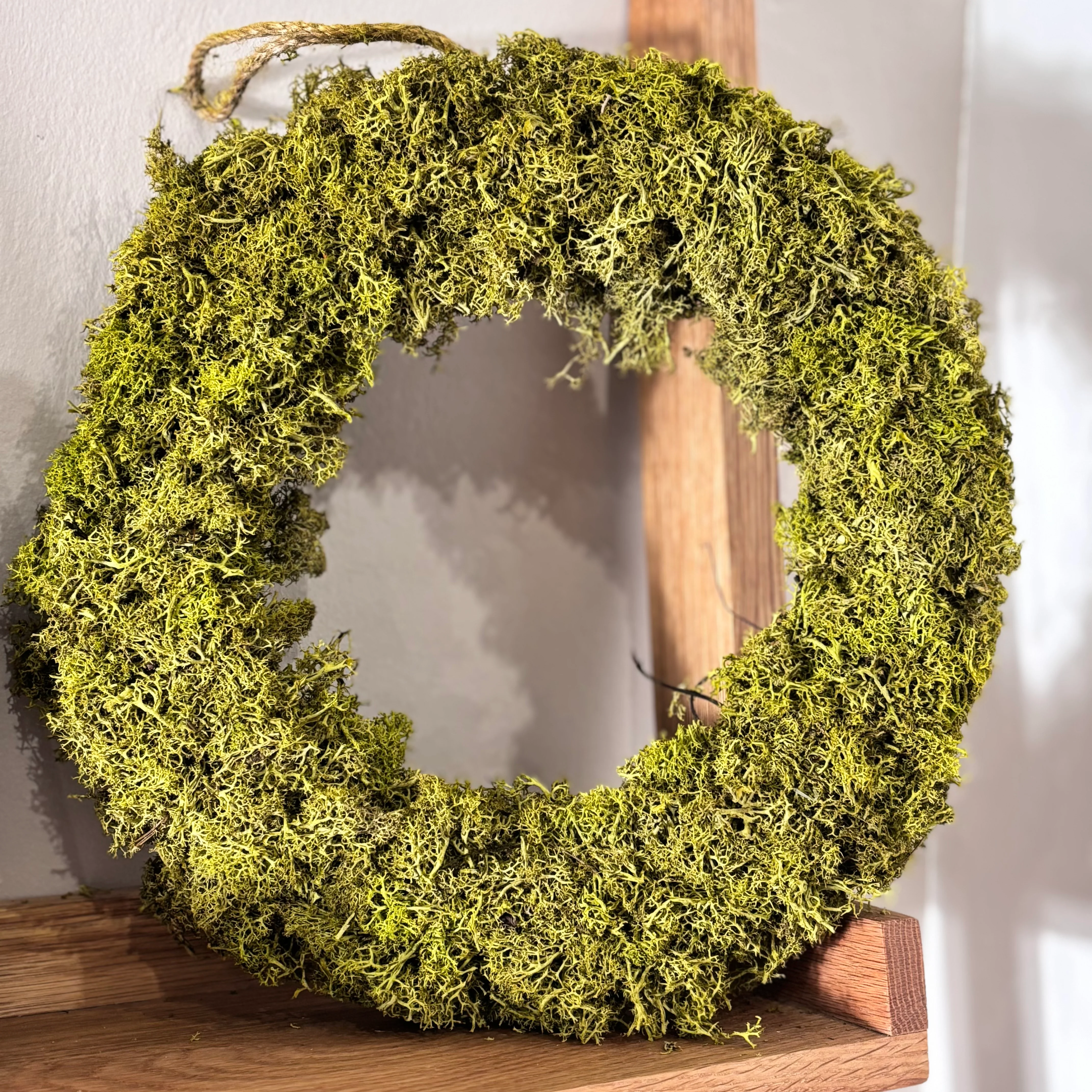 Reindeer-Moos: Isländischer Reindeermooskranz