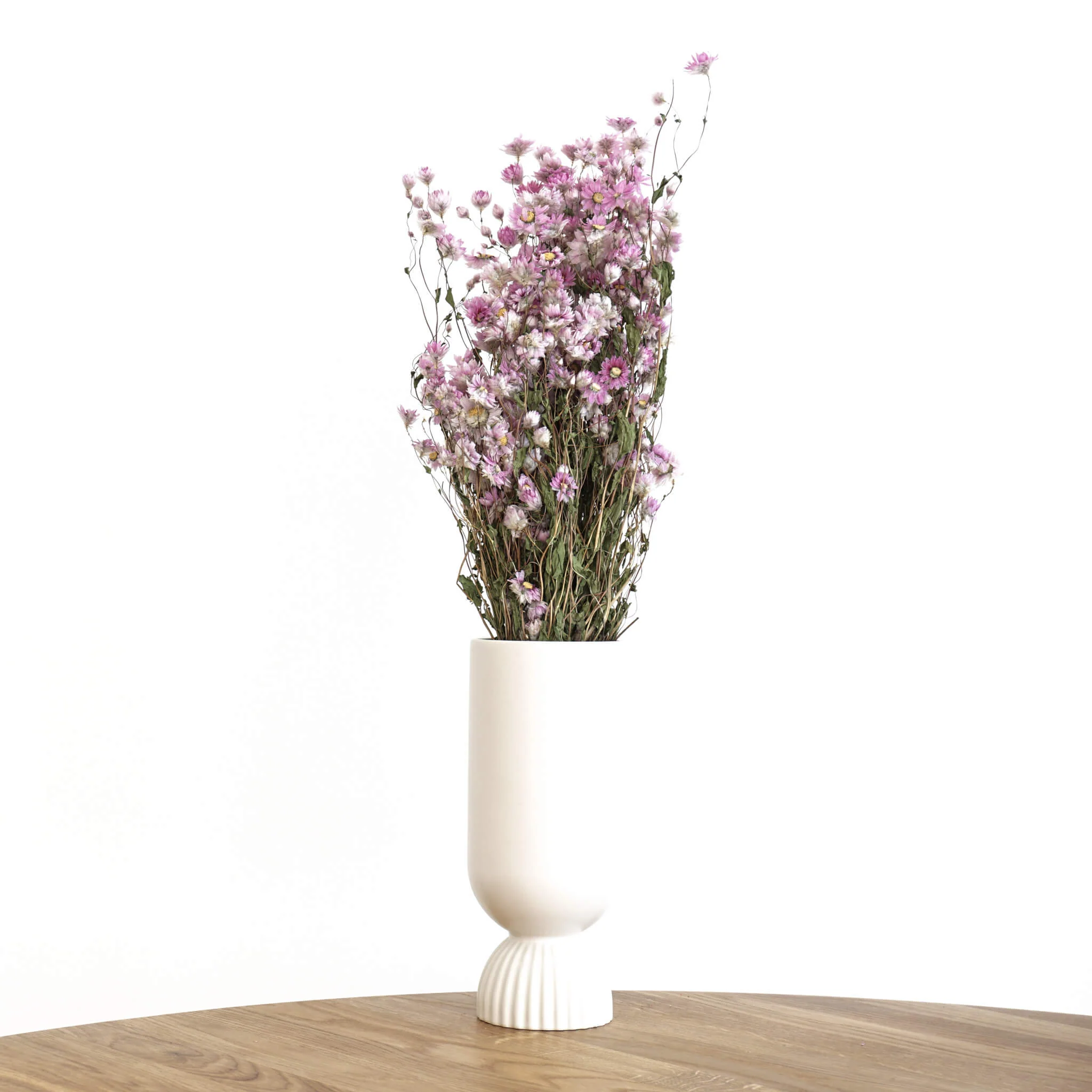 Rodanthe | großer Bund