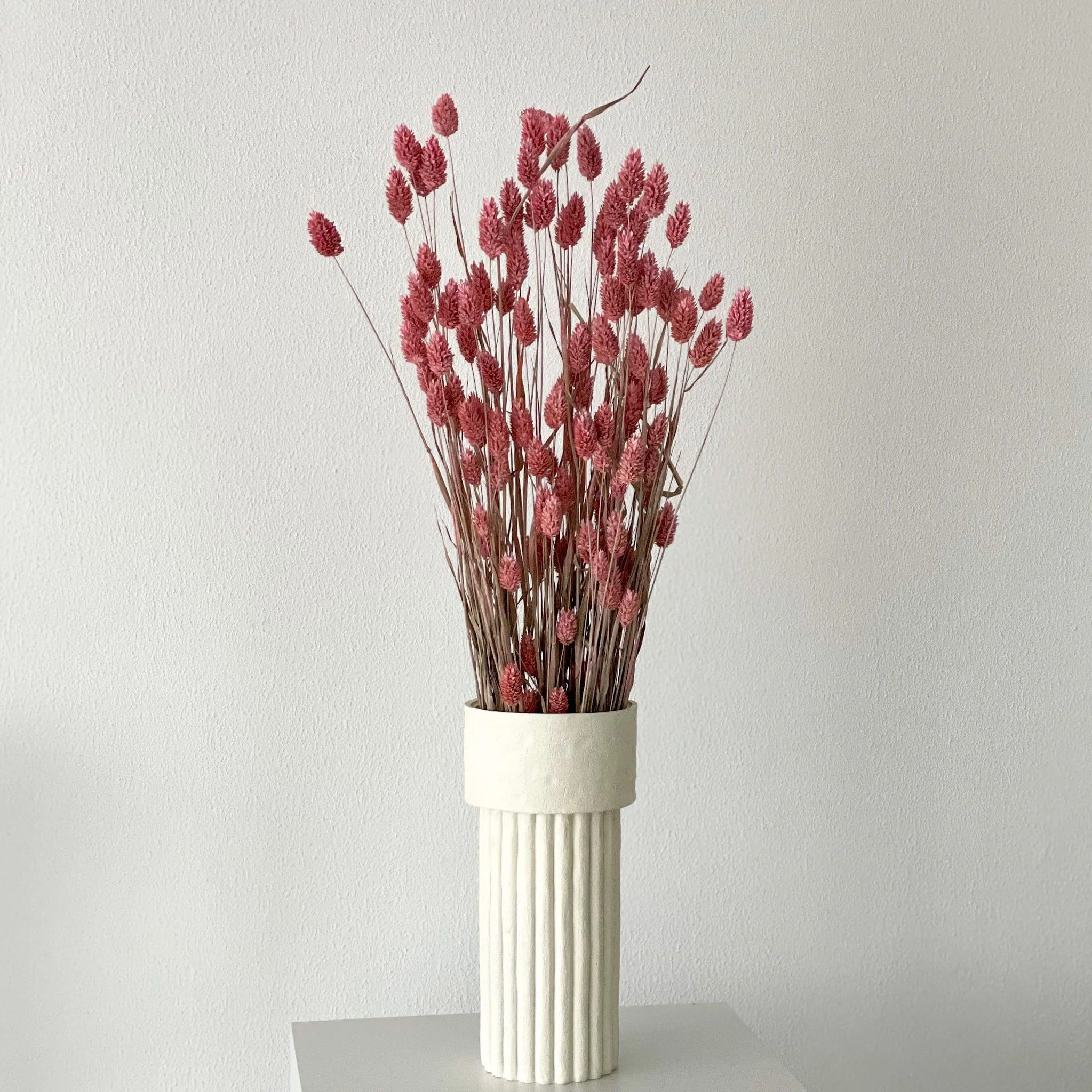 Phalaris I Kanariengras: Vielseitiger Allrounder für Deine Trockenblumen-Dekoration