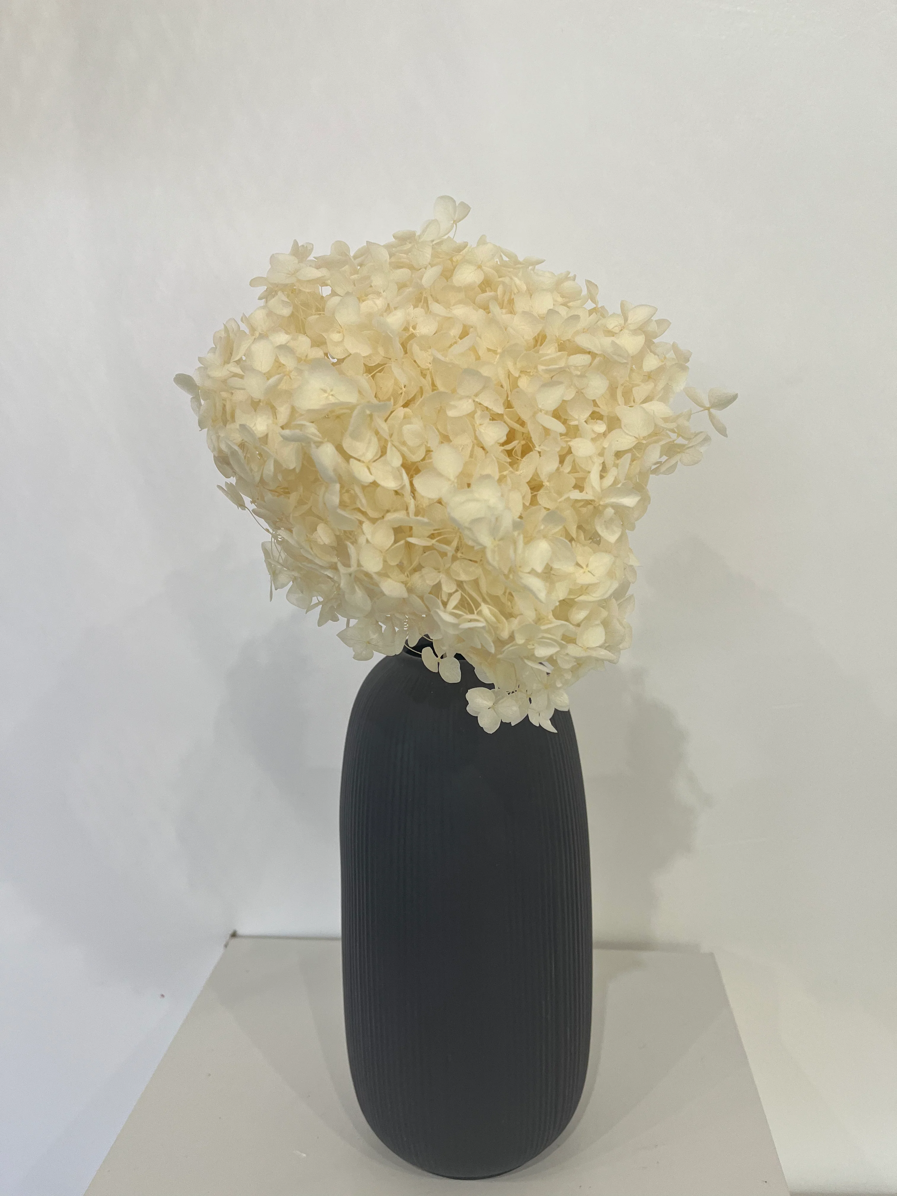 Rispenhortensie: Zeitlose Schönheit, konservierte Hortensien als perfekte Dekoration