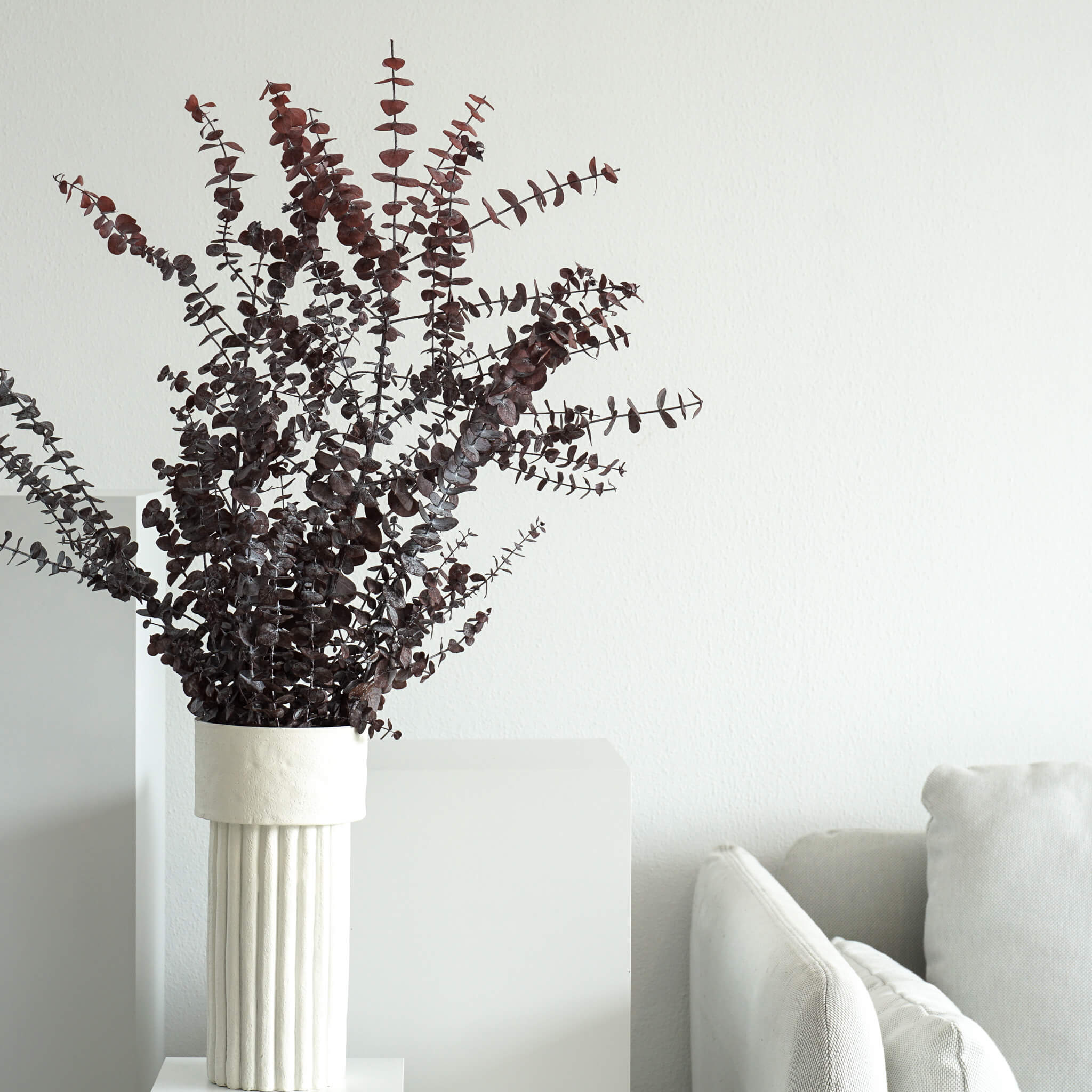 Eukalyptus Baby - der Feine