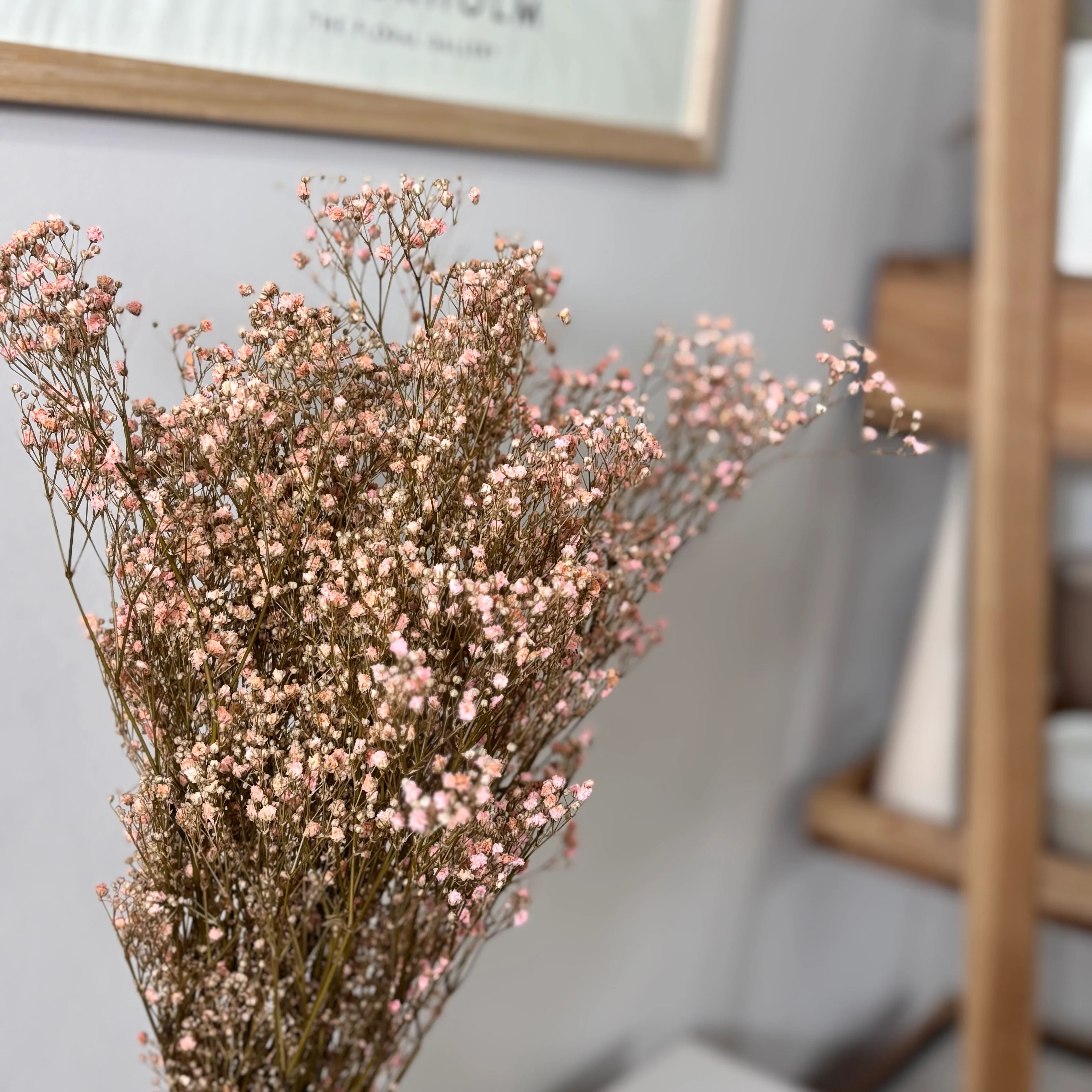 Gypsophilia | Schleierkraut: Ewige Schönheit für Deine Trockenblumensträuße und -kränze