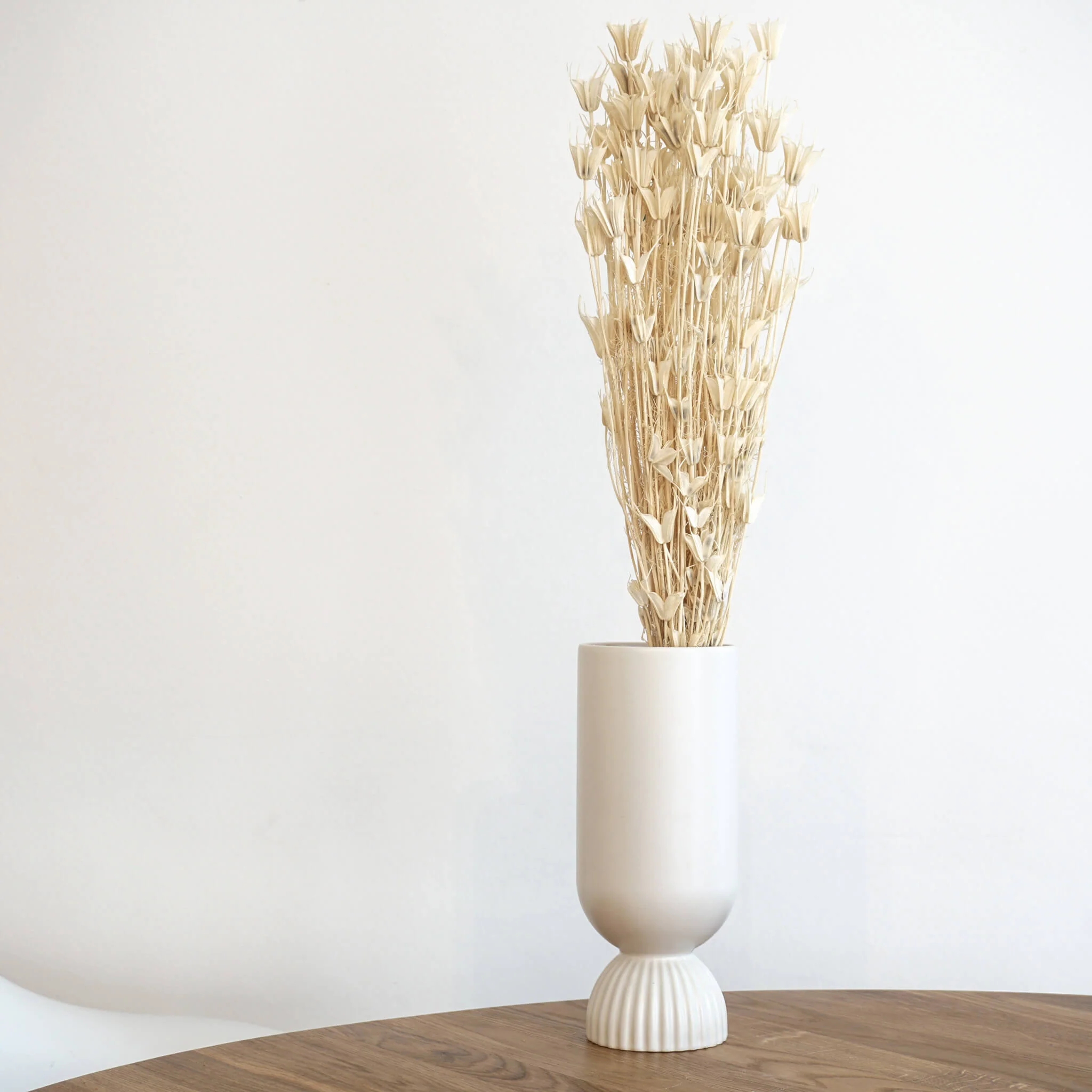 Nigella | Jungfer im Grünen | Schwarzkümmel