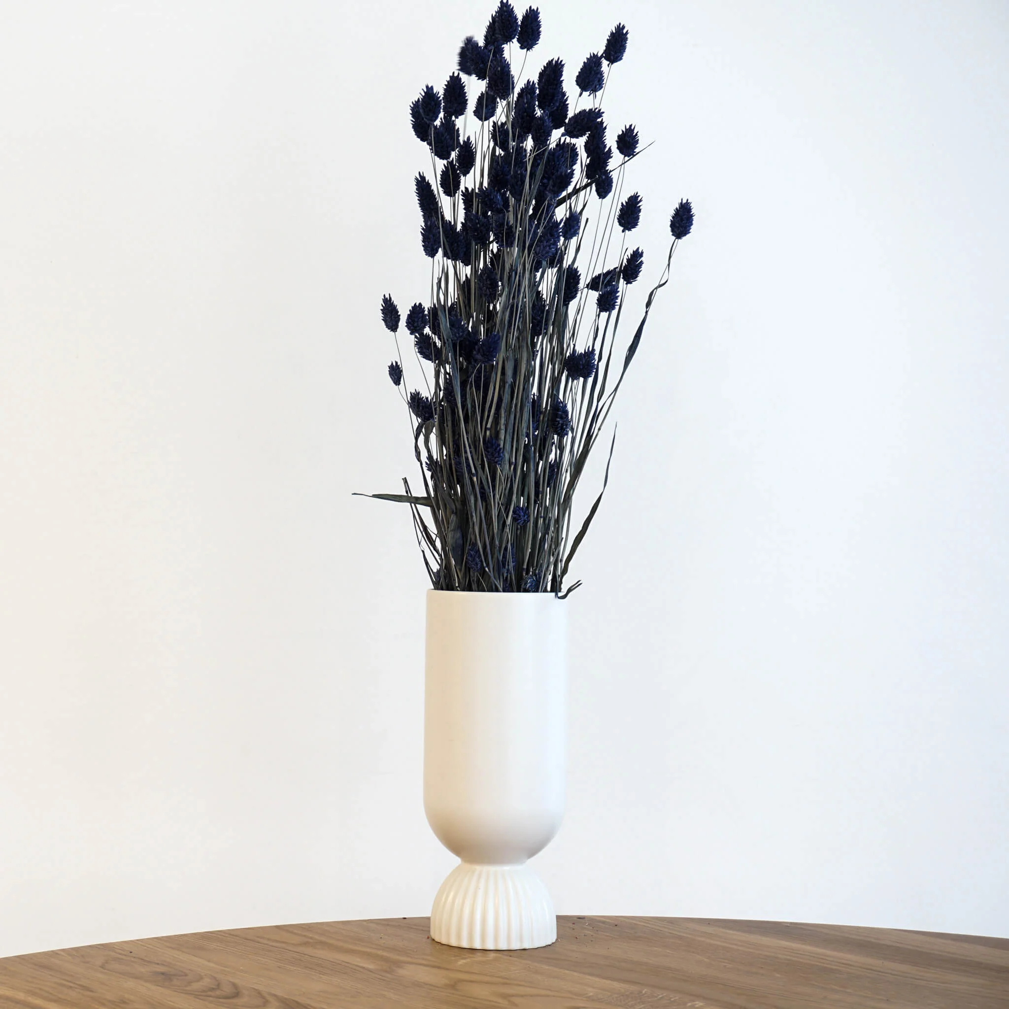 Phalaris I Kanariengras: Vielseitiger Allrounder für Deine Trockenblumen-Dekoration