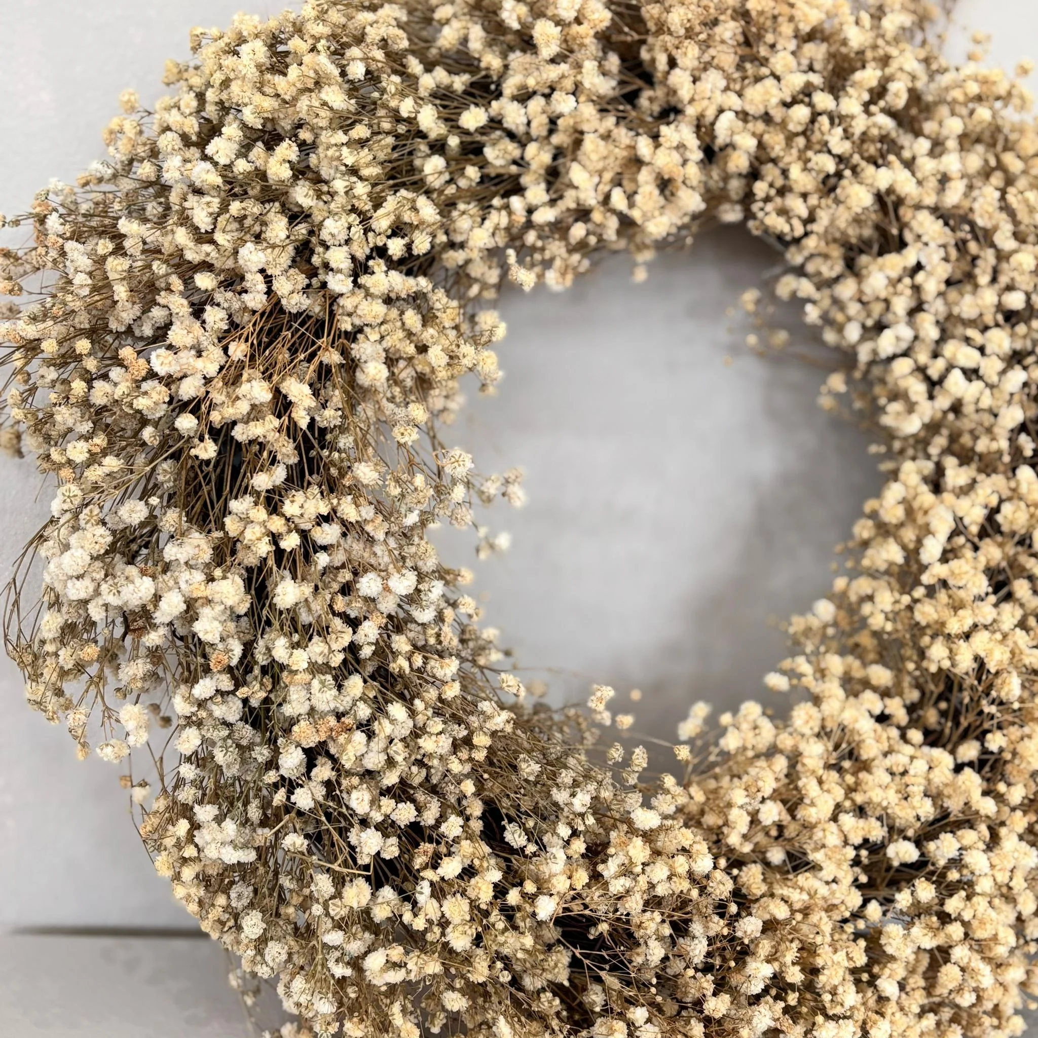 Trockenblumenkranz Schleierkraut