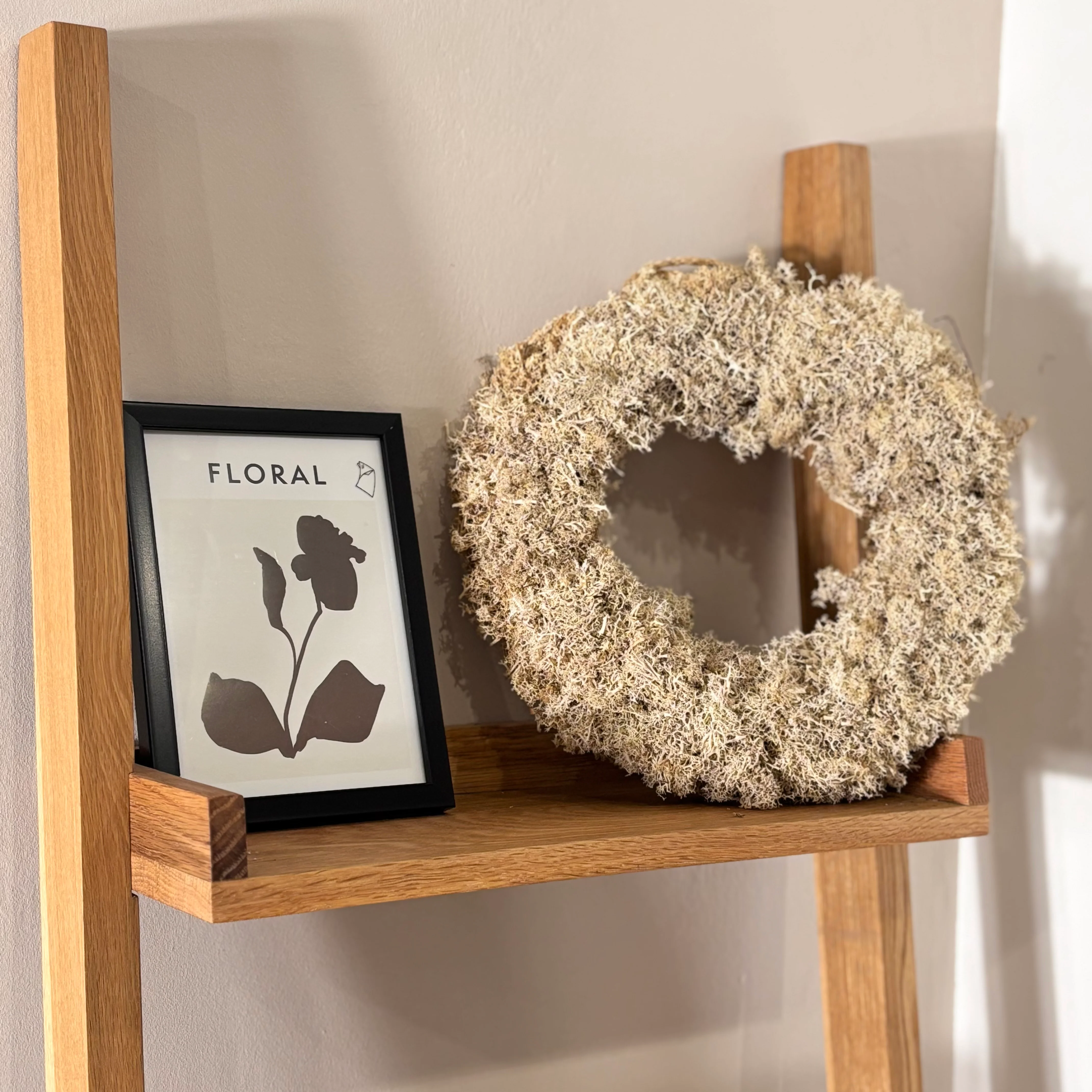 Reindeer-Moos: Isländischer Reindeermooskranz