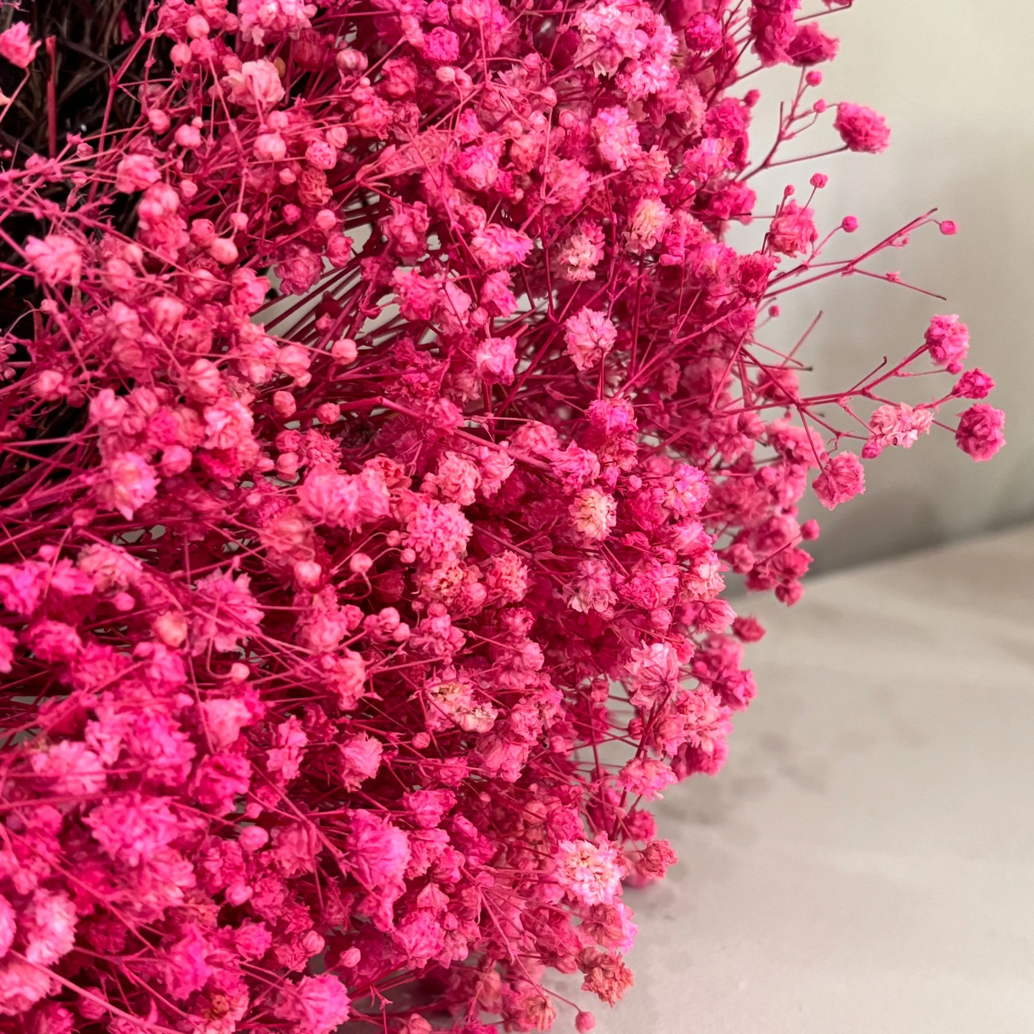 Trockenblumenkranz Schleierkraut