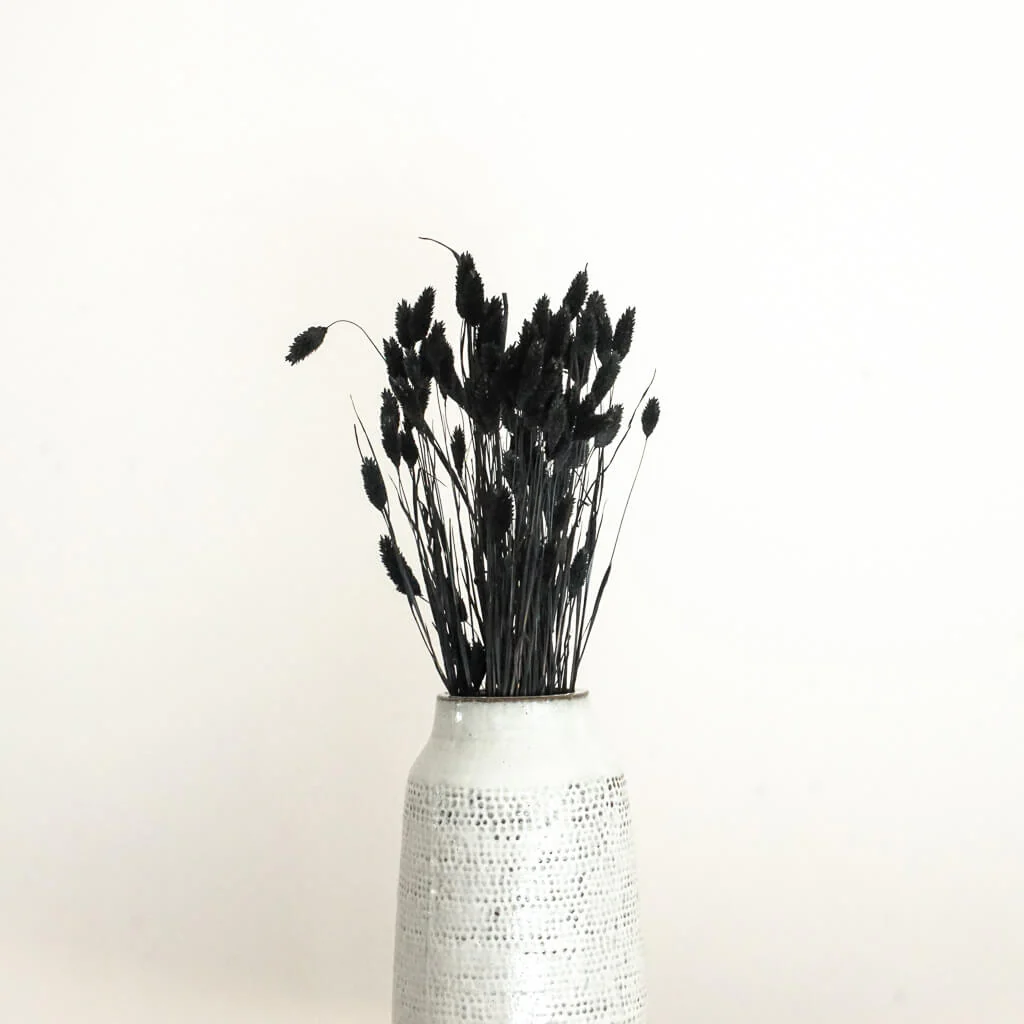 Phalaris I Kanariengras: Vielseitiger Allrounder für Deine Trockenblumen-Dekoration