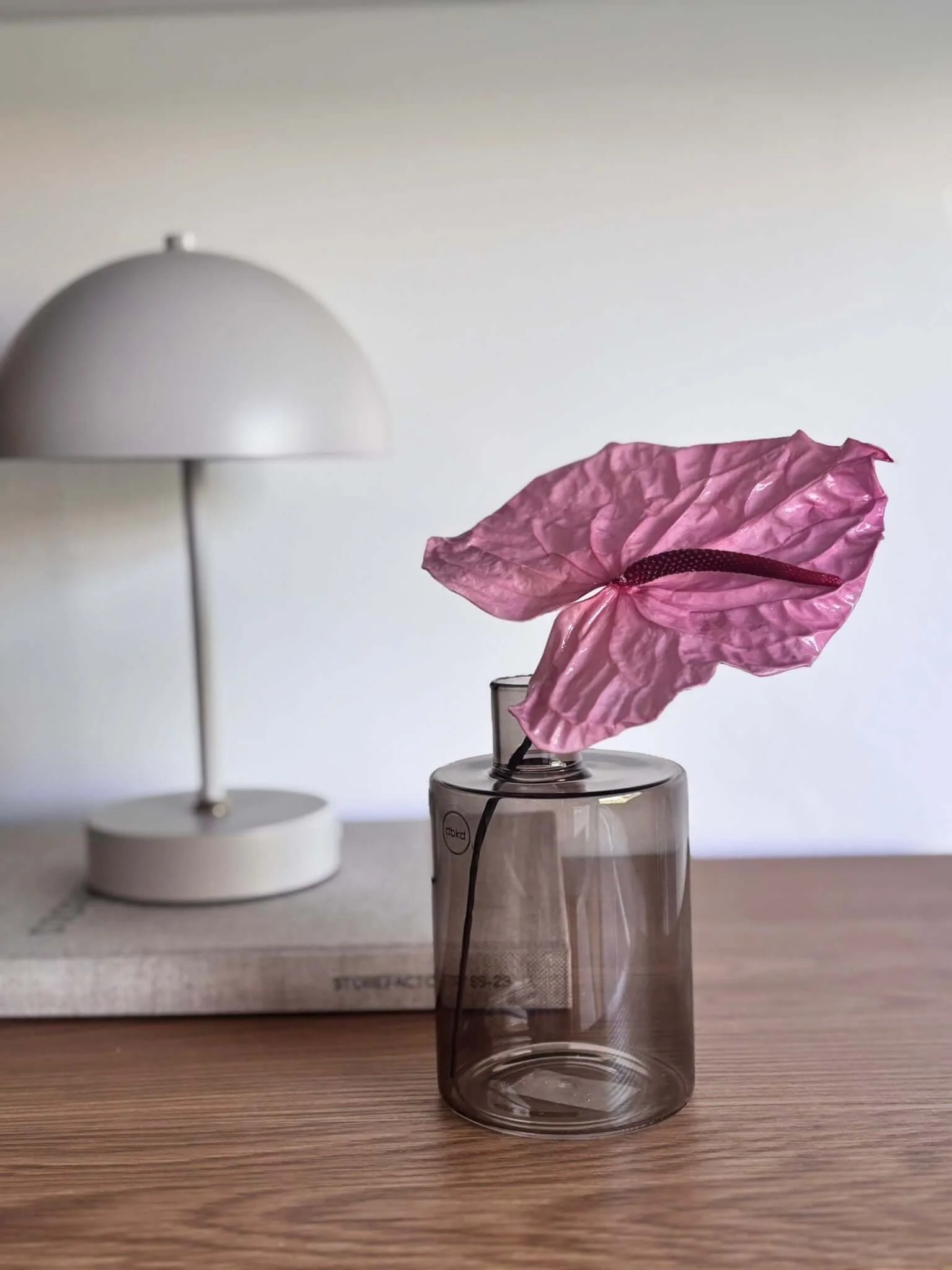 Anthuri konserviert einzeln