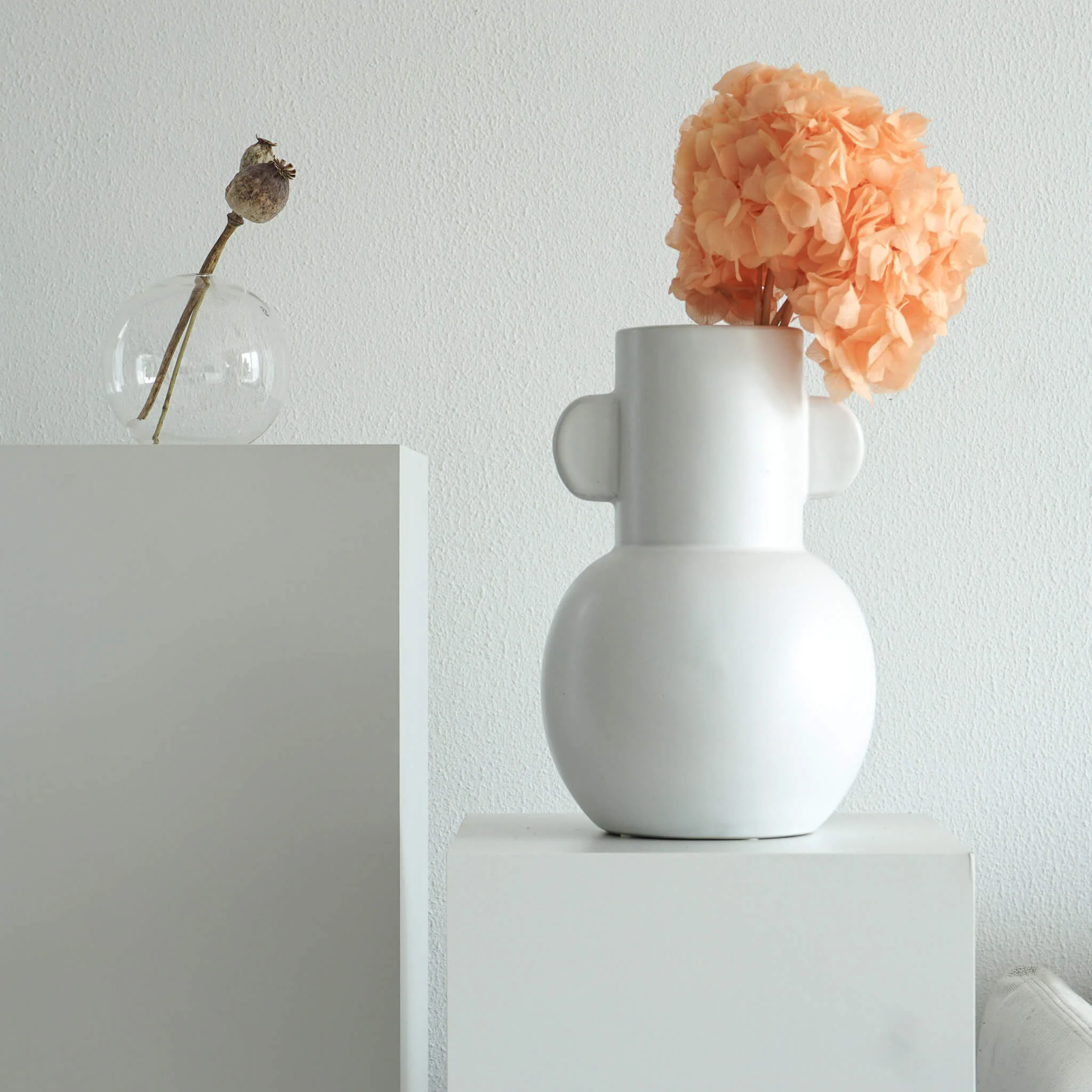 Hortensie: Zeitlose Schönheit, konservierte Hortensien als perfekte Dekoration