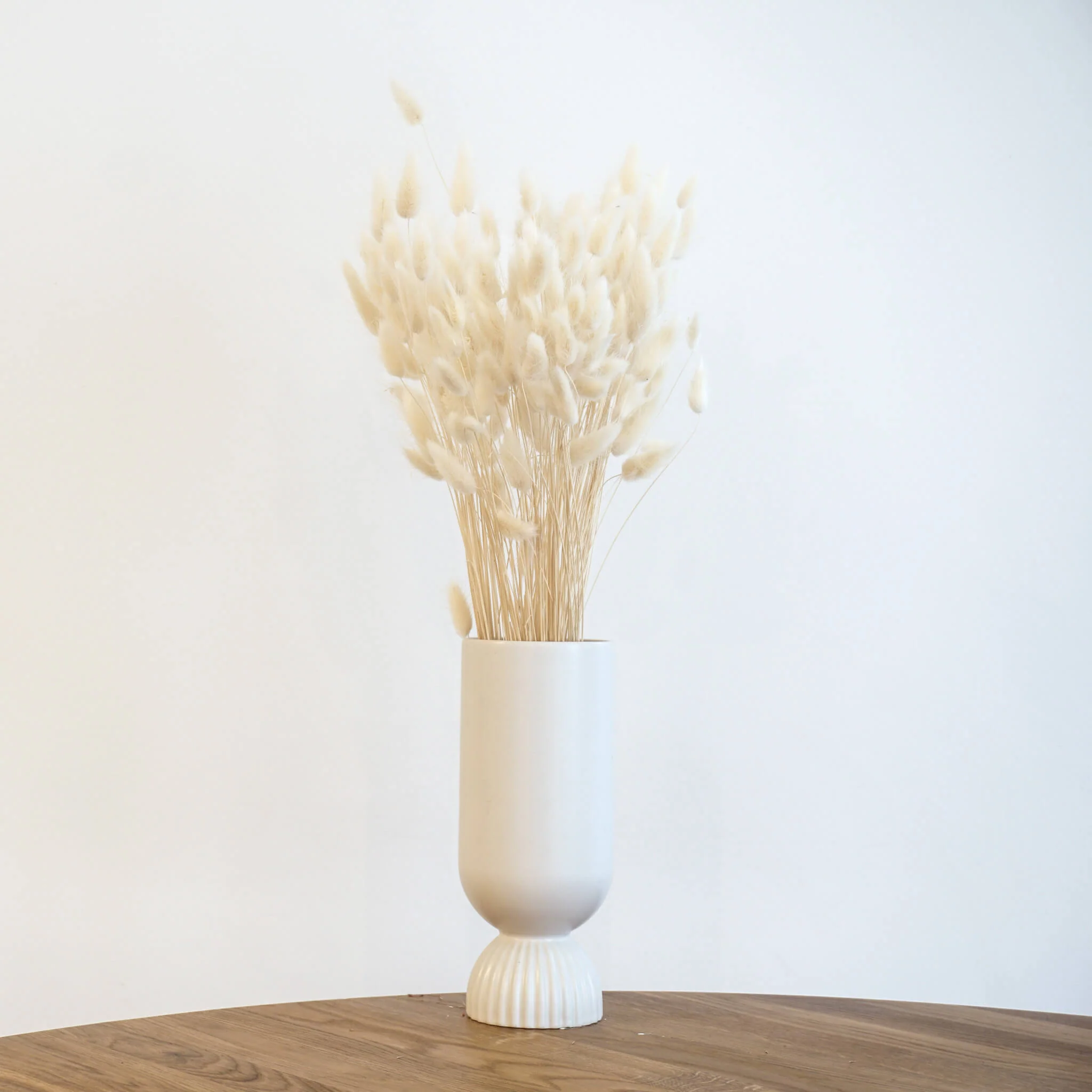 Lagurus | Samtgras | Hasenschwanz 60cm