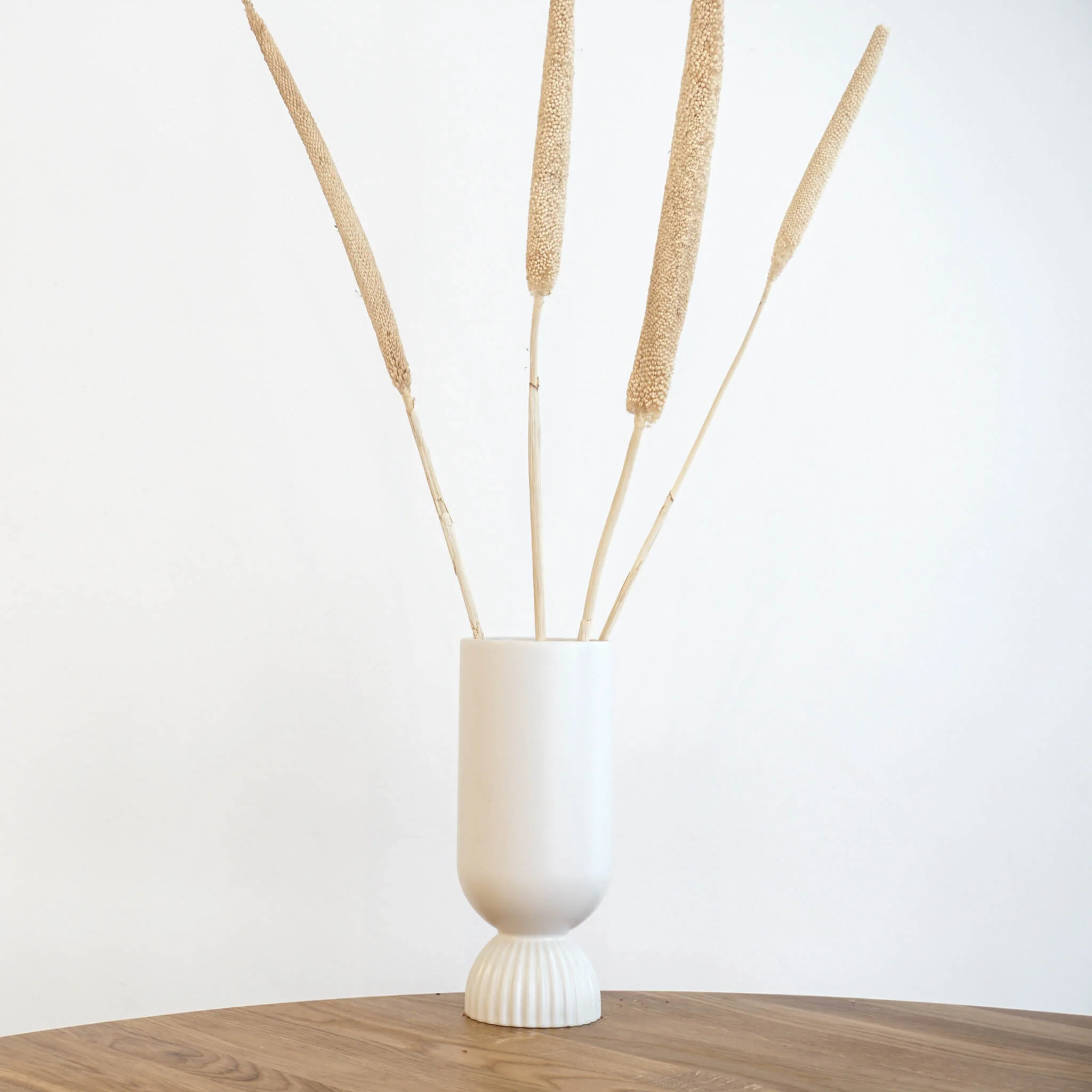Kreatives Flair: Getrocknete Schilfkolben für Bastelprojekte und Dekorationen