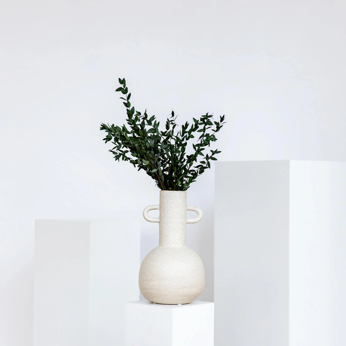 Eukalyptus Pavi - der Schicke