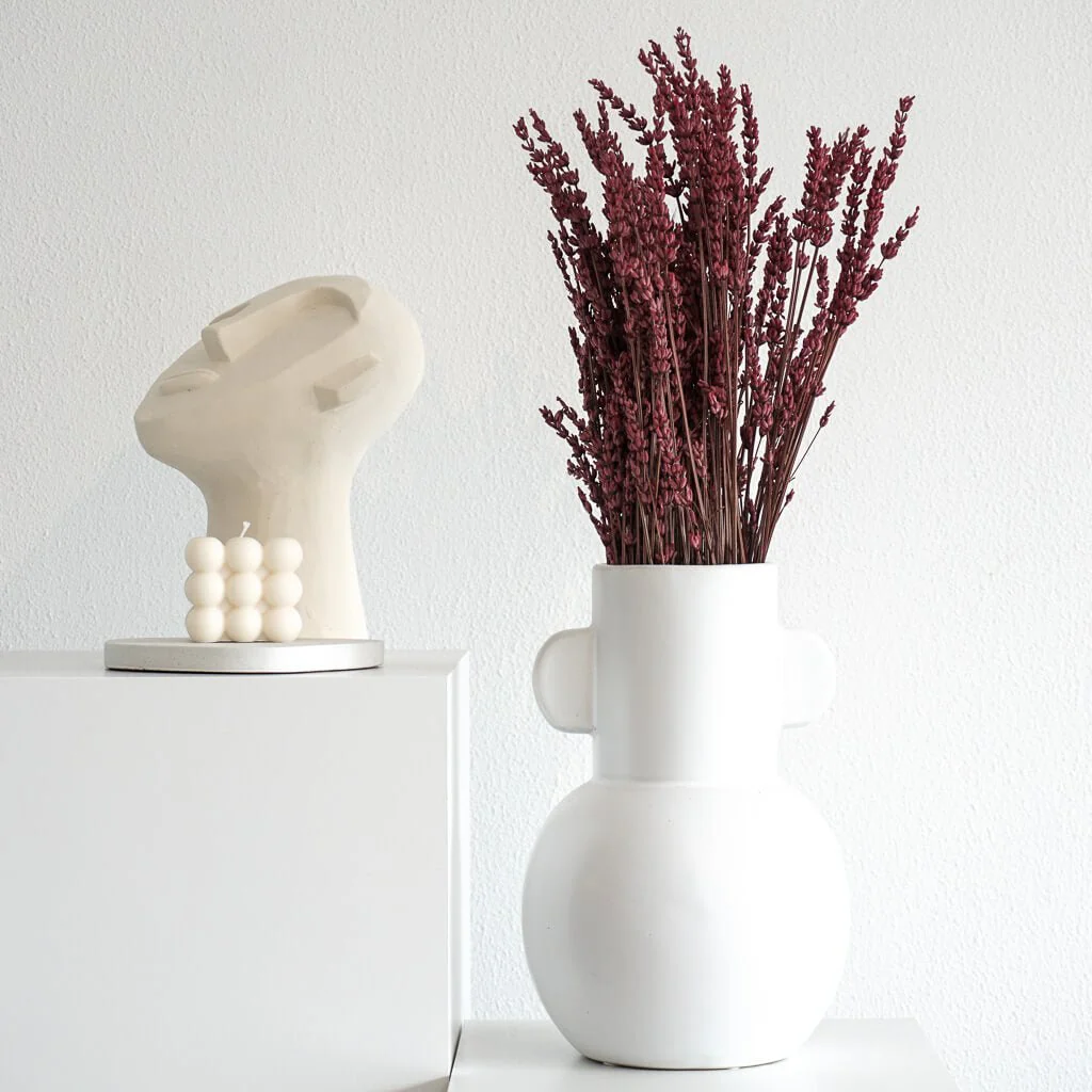 Trockenblume Lavendel