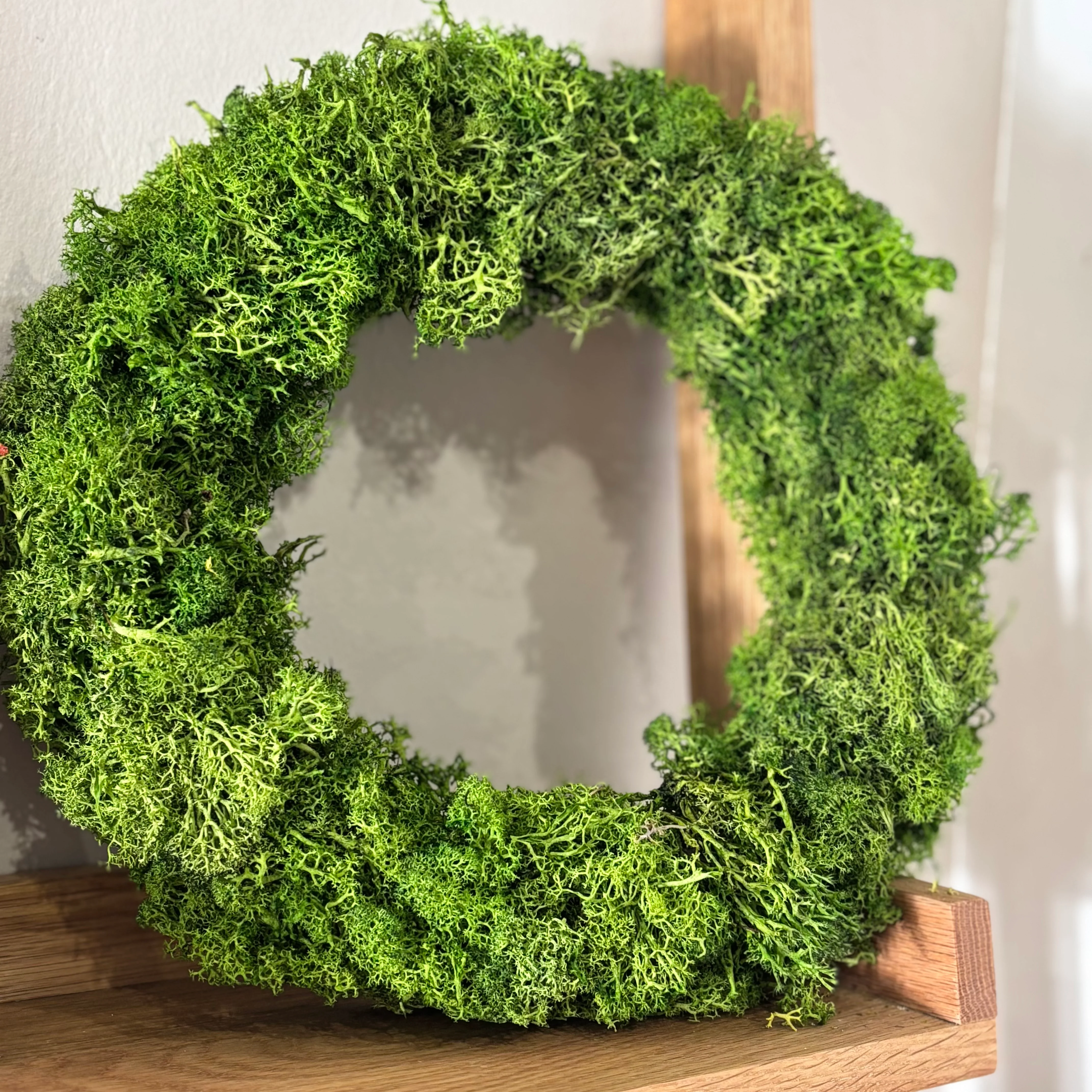 Reindeer-Moos: Isländischer Reindeermooskranz